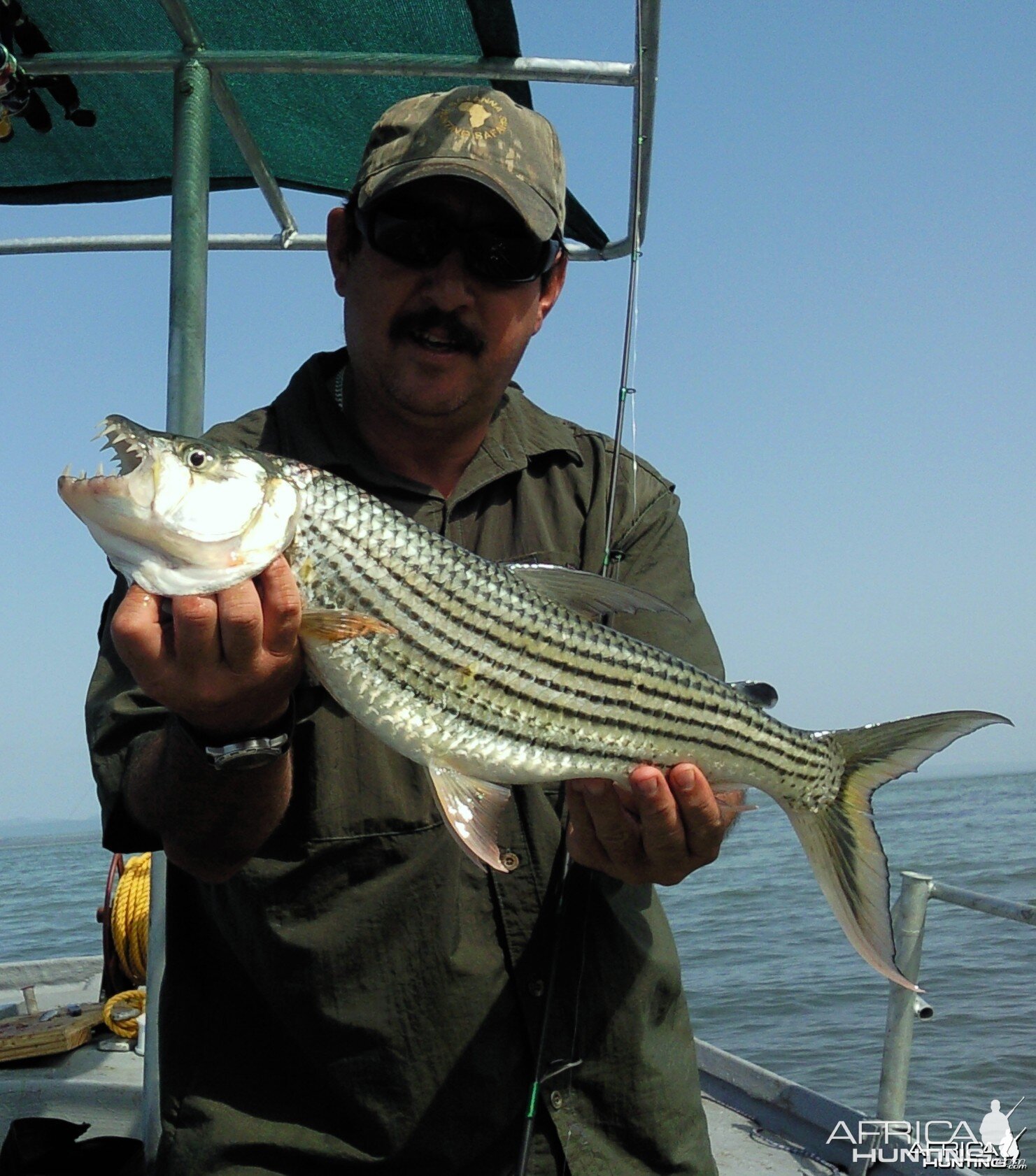 Tiger Fishing with Savanna Hunting Safaris