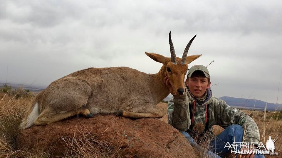 Top class Mountain Reedbuck - 7 Rowland Ward trophies 2015.