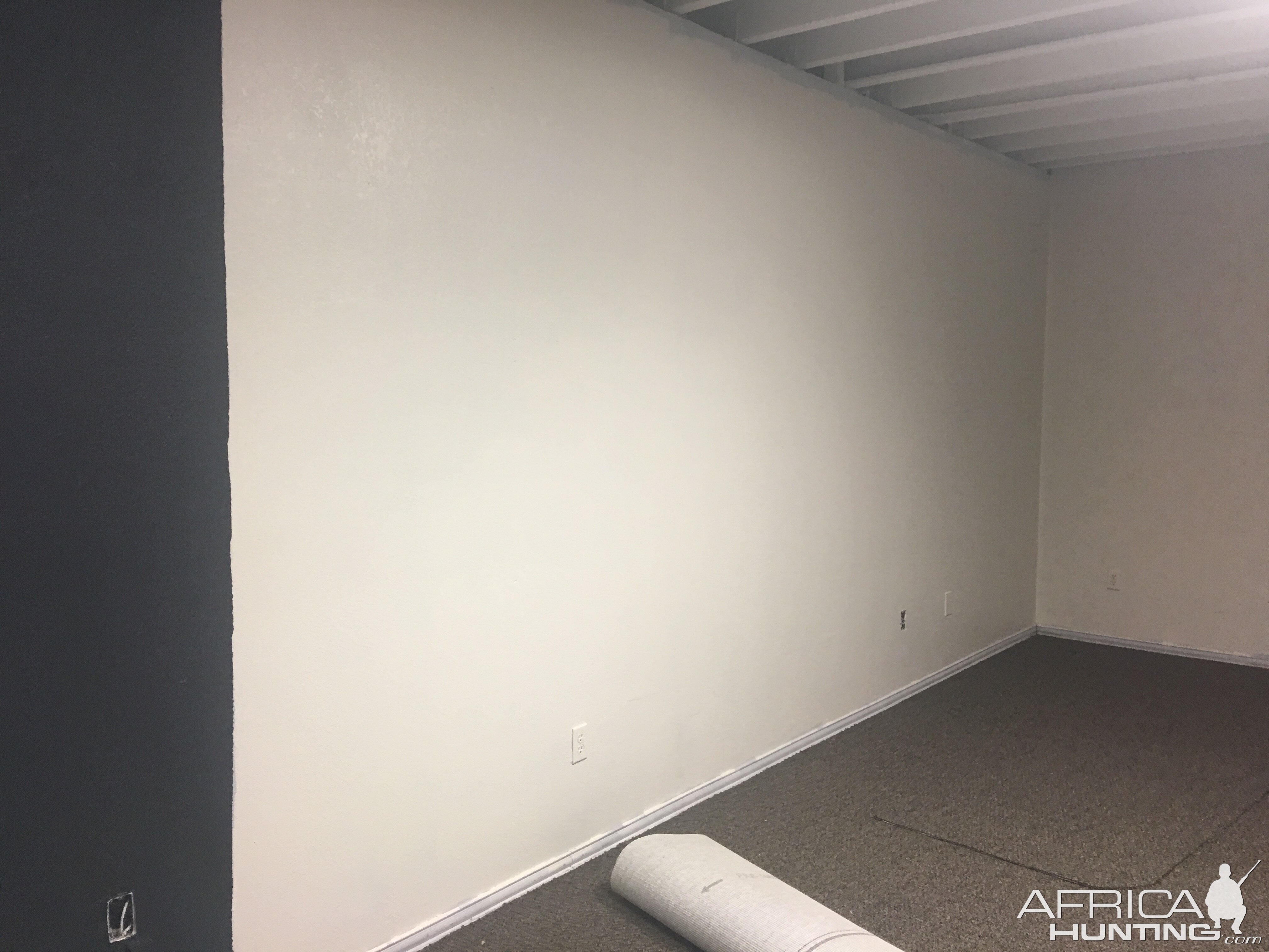 Top of Texas Taxidermy new building at the new location