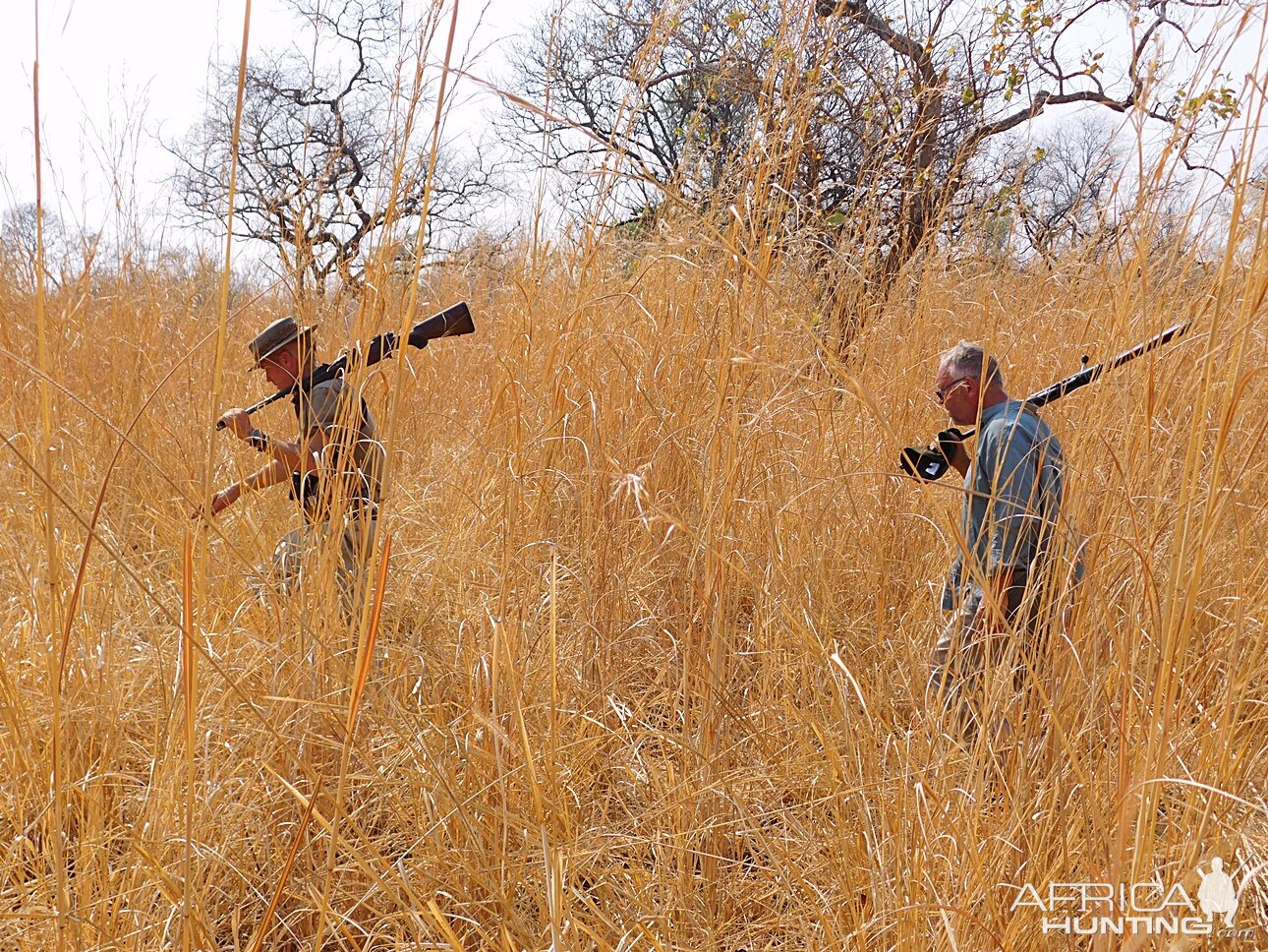 Tracking buffalo on Mbizi...