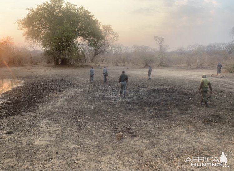 Tracking Game Zimbabwe