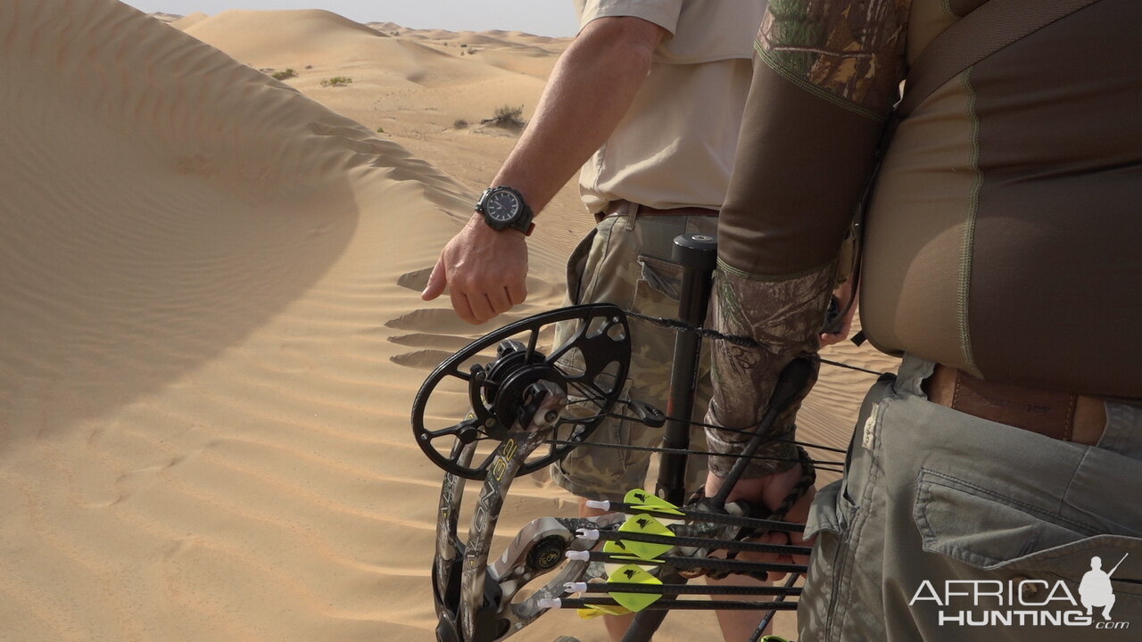 Tracking Mountain Gazelle United Arab Emirates