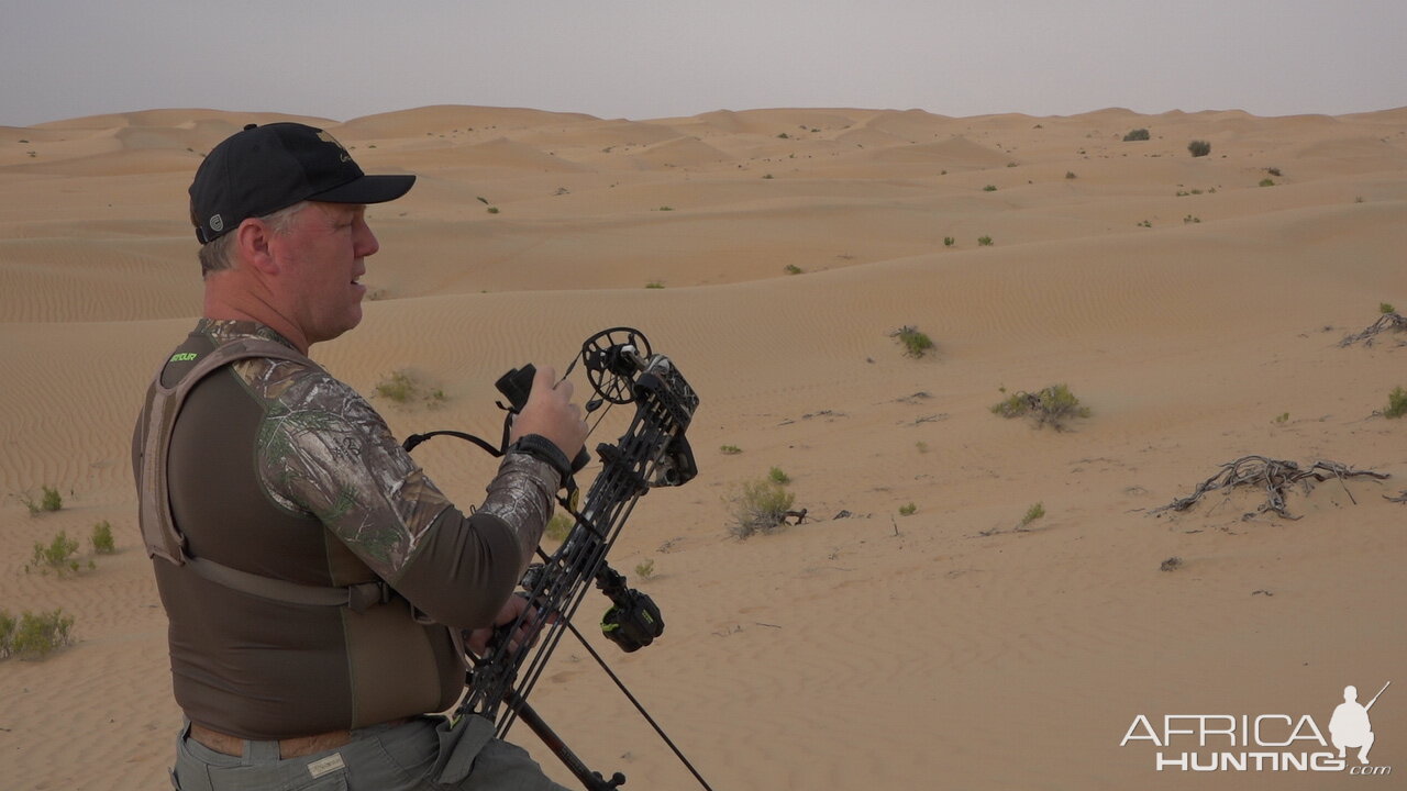 Tracking Mountain Gazelle United Arab Emirates