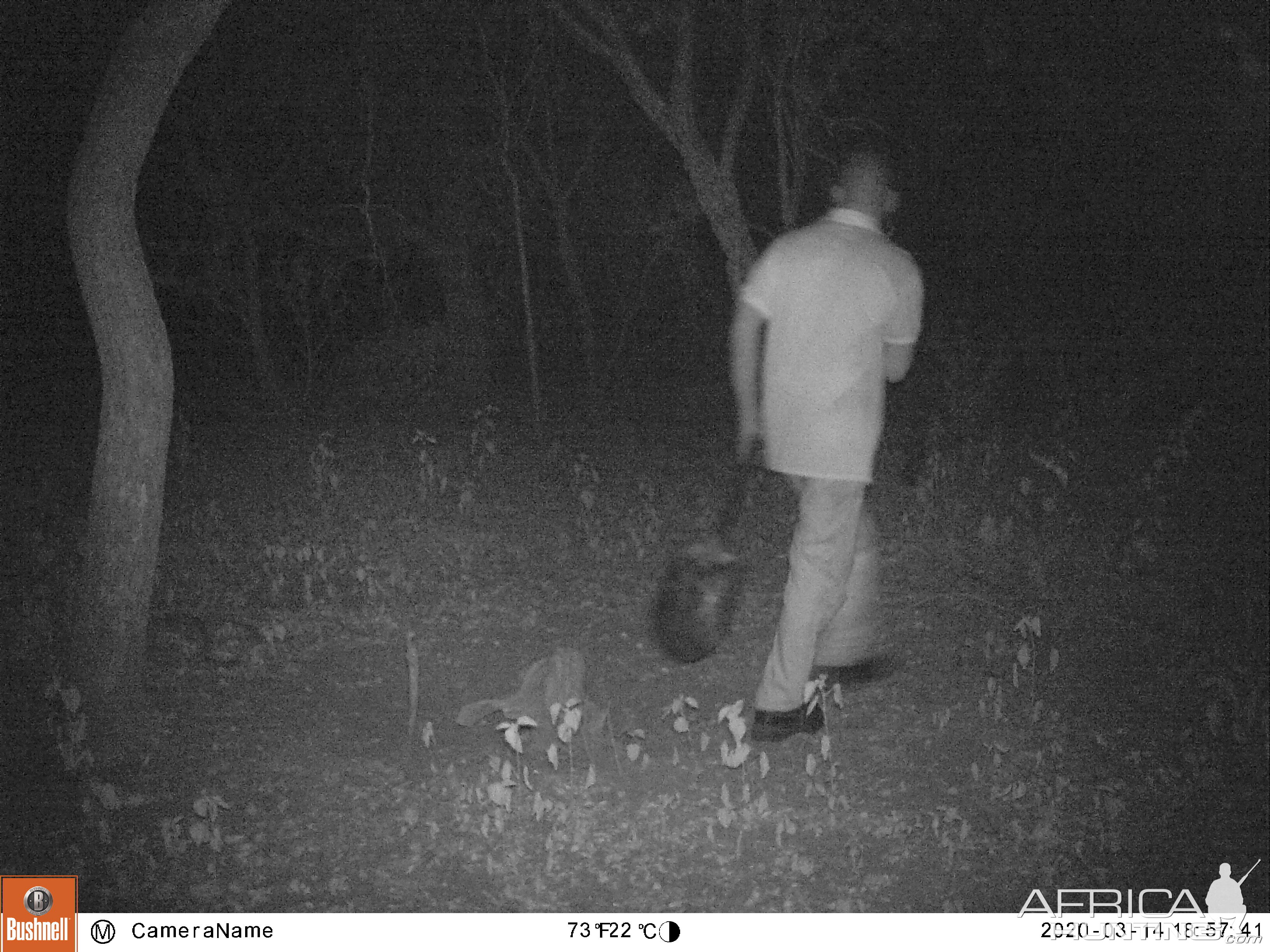 Trail Cam Pictures South Africa