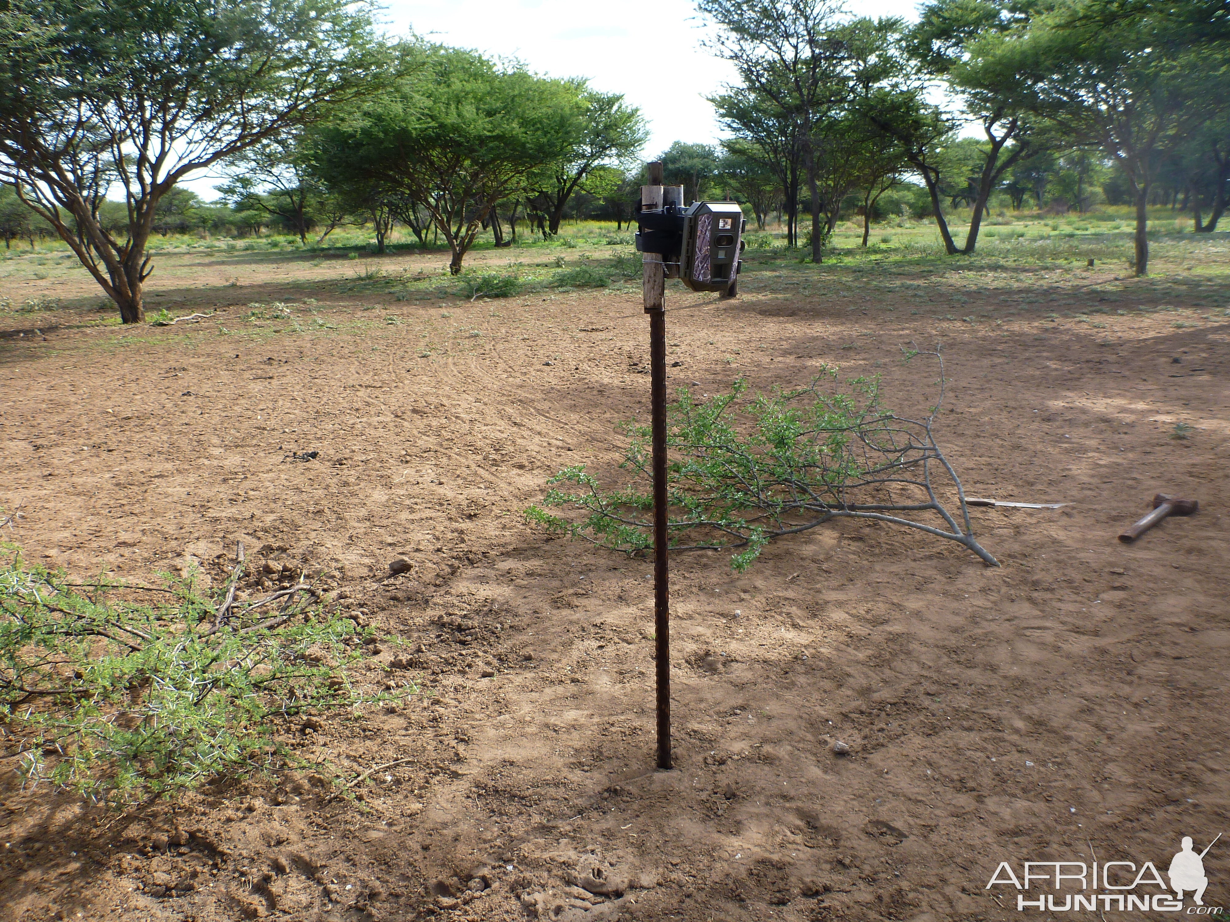 Trail Camera Namibia