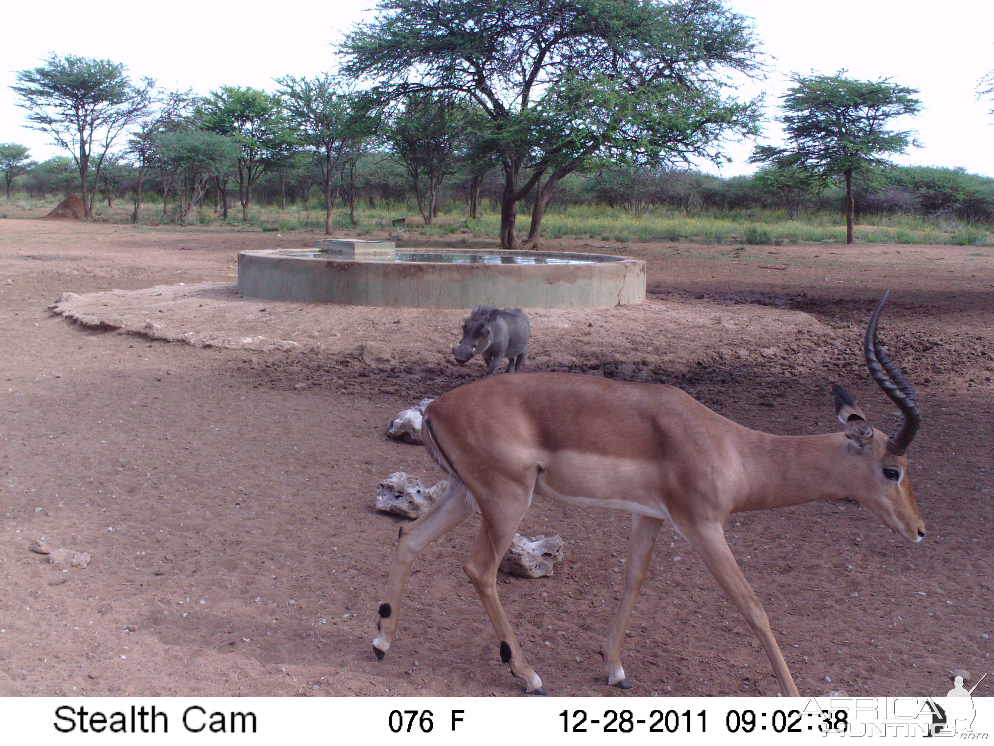 Trail Camera Namibia