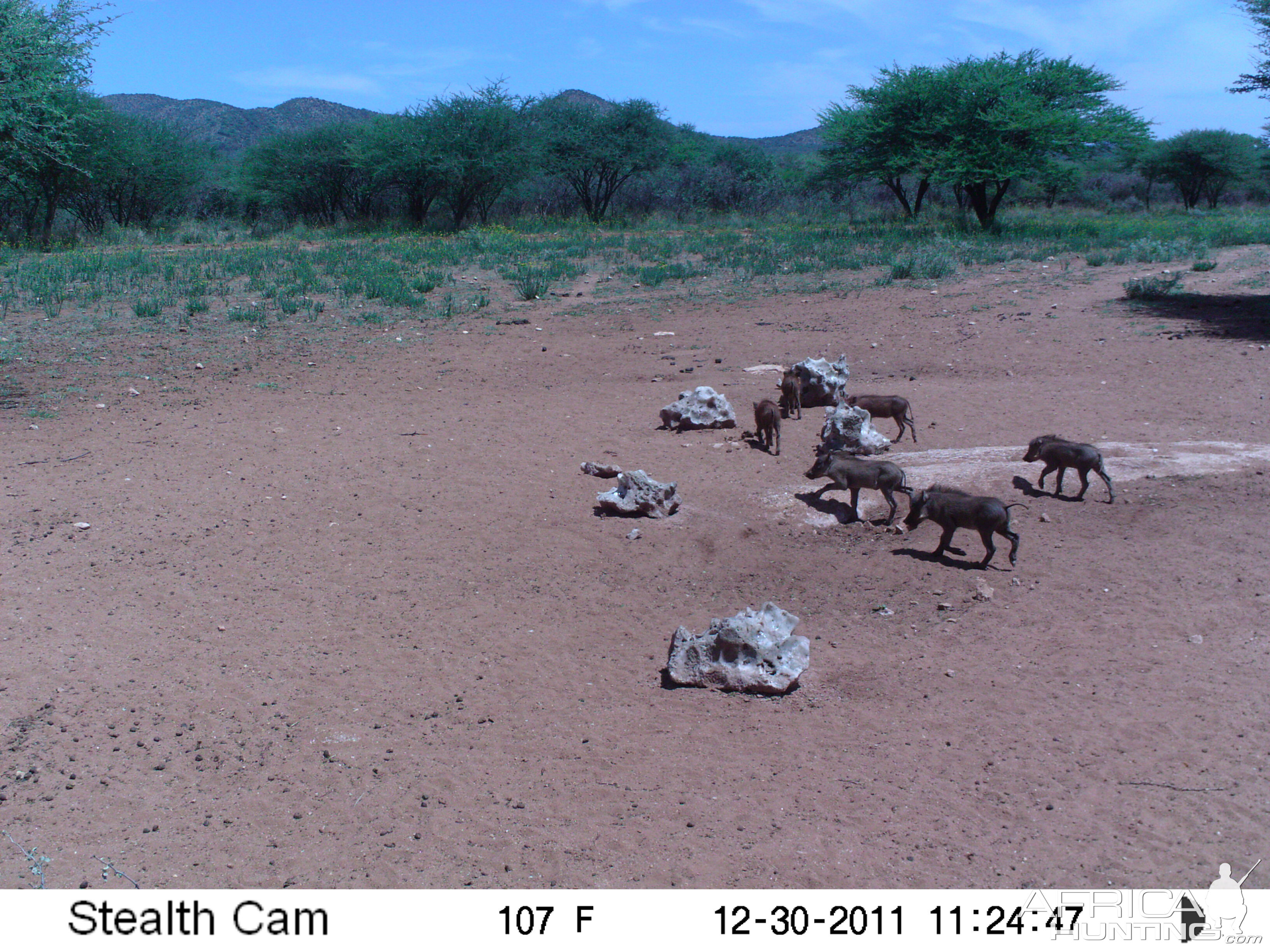 Trail Camera Namibia
