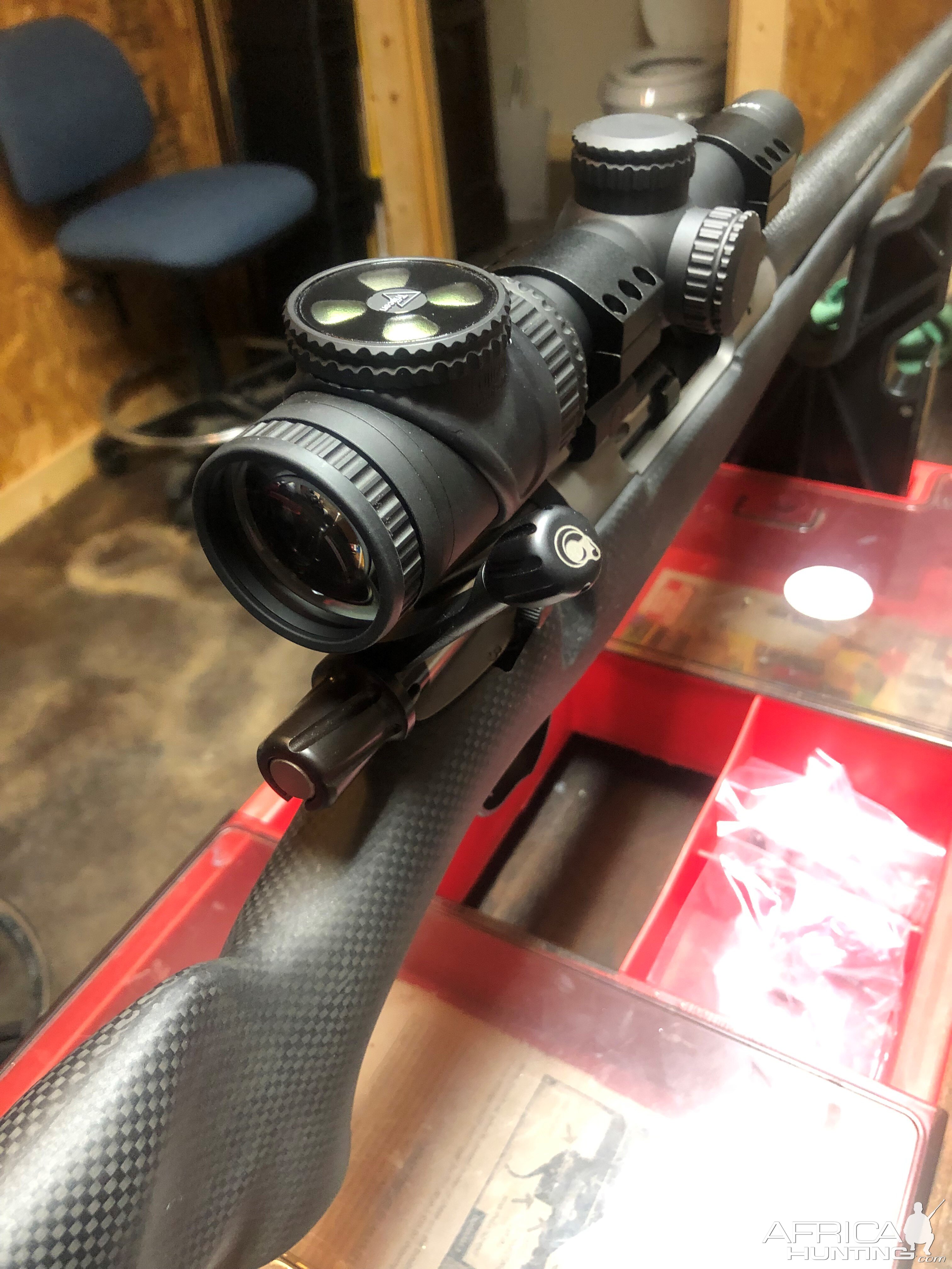 Trijicon 1-6 mounted on a 375 H&H