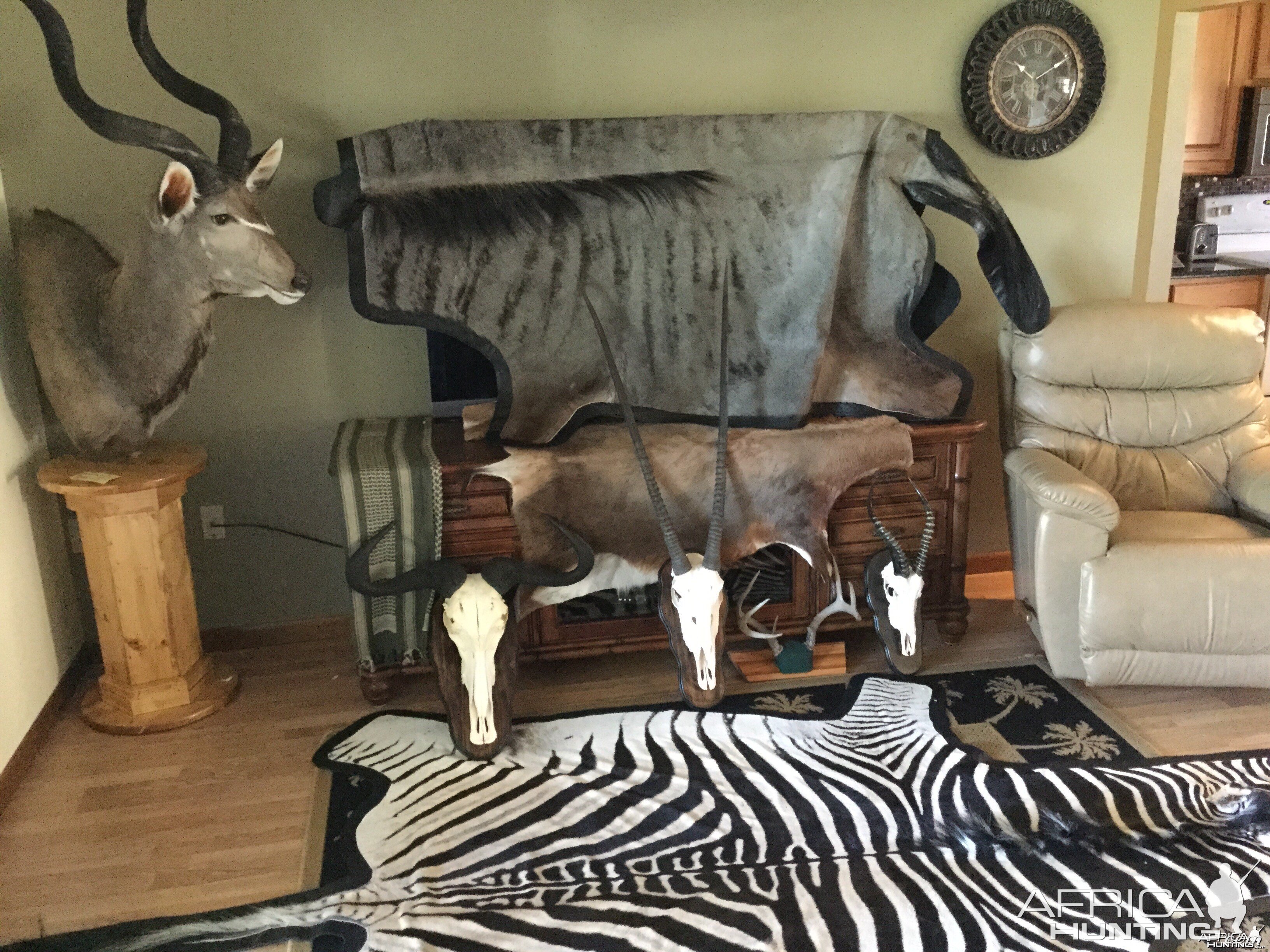 Trophies from 2014 Safari hunt with Limcroma