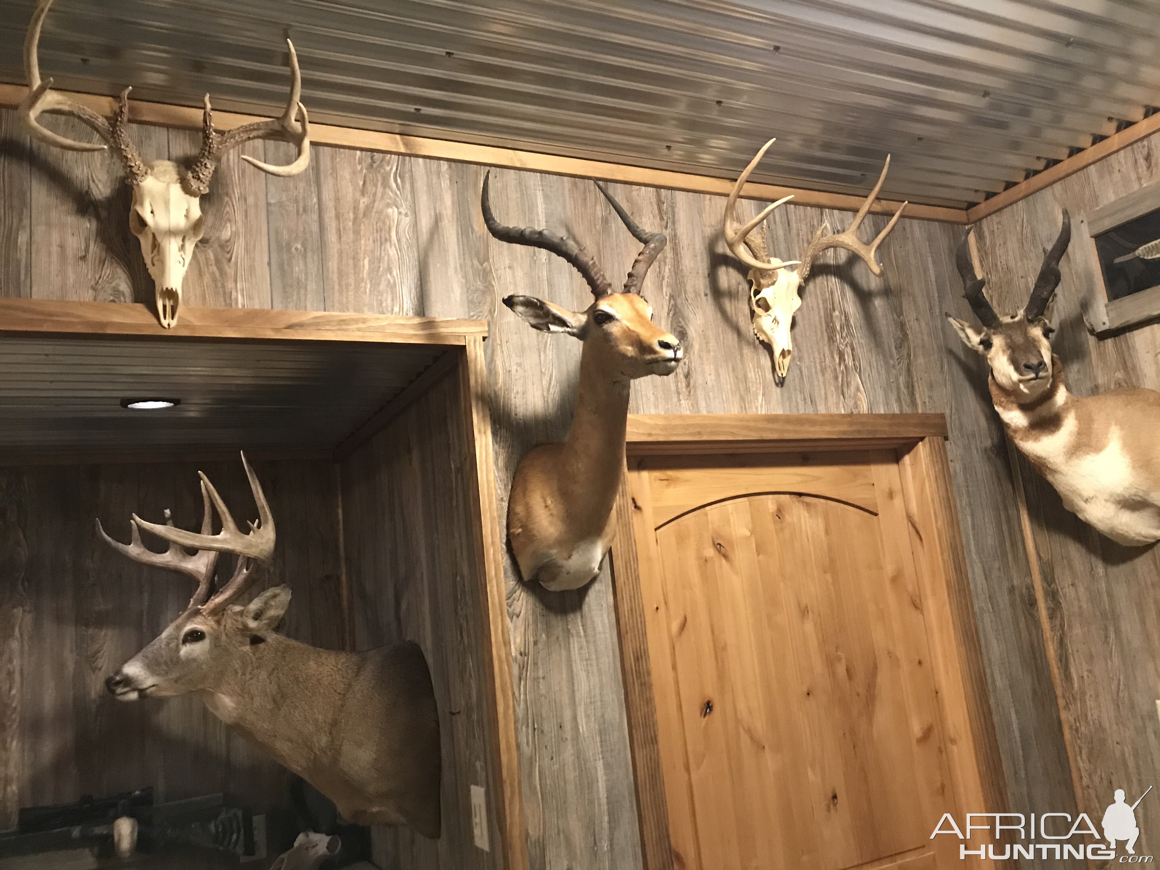 Trophy Room & Bar