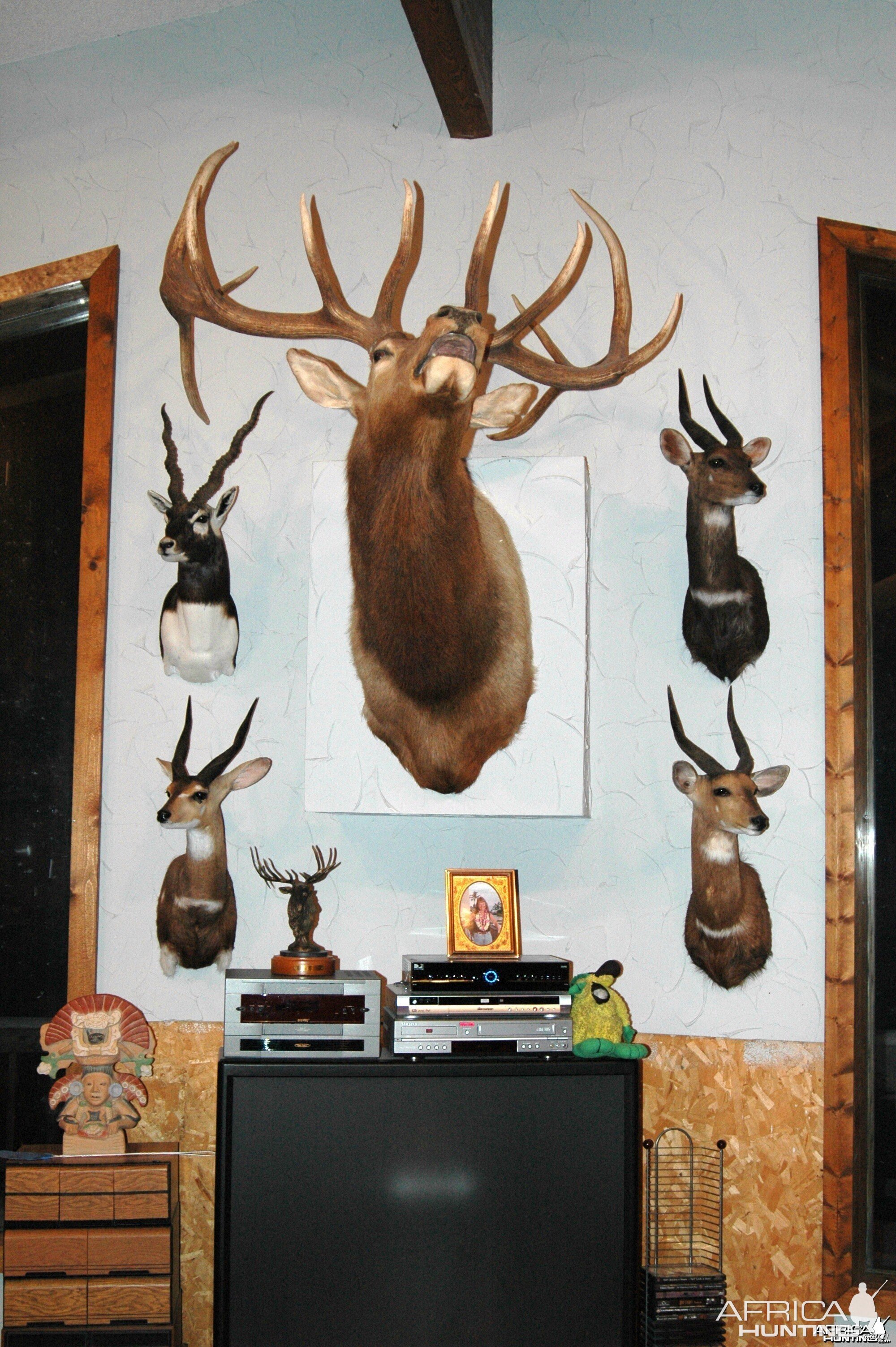 Trophy Room West Wall Center