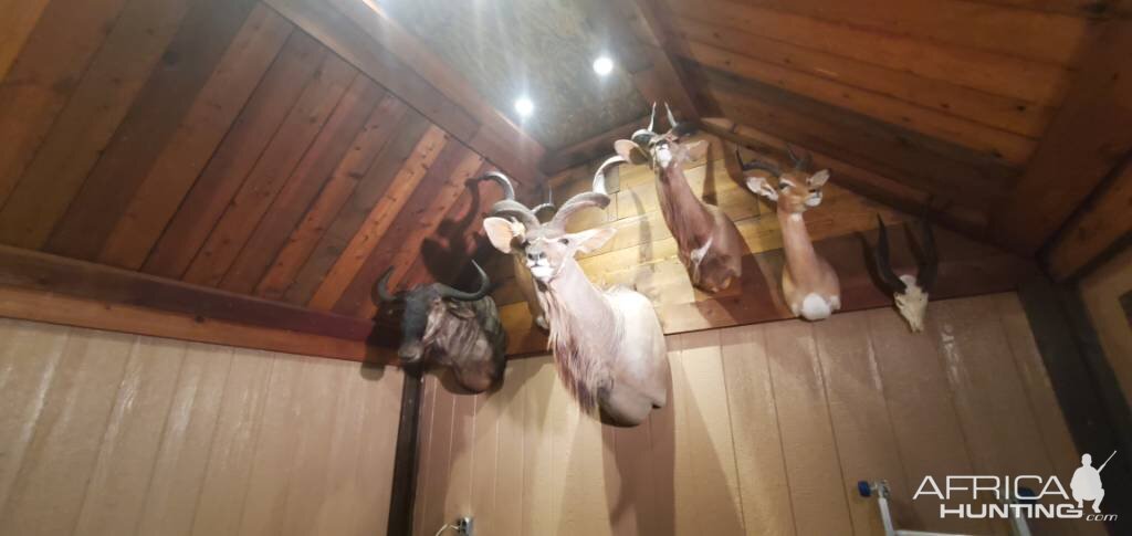 Trophy Room