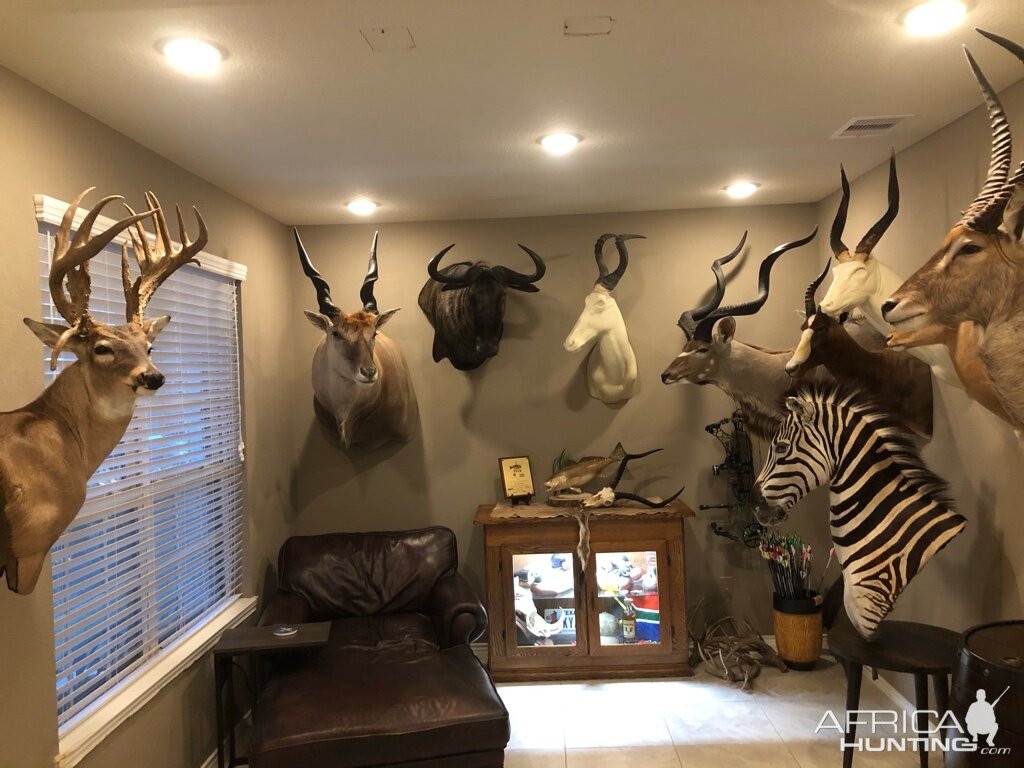 Trophy Room