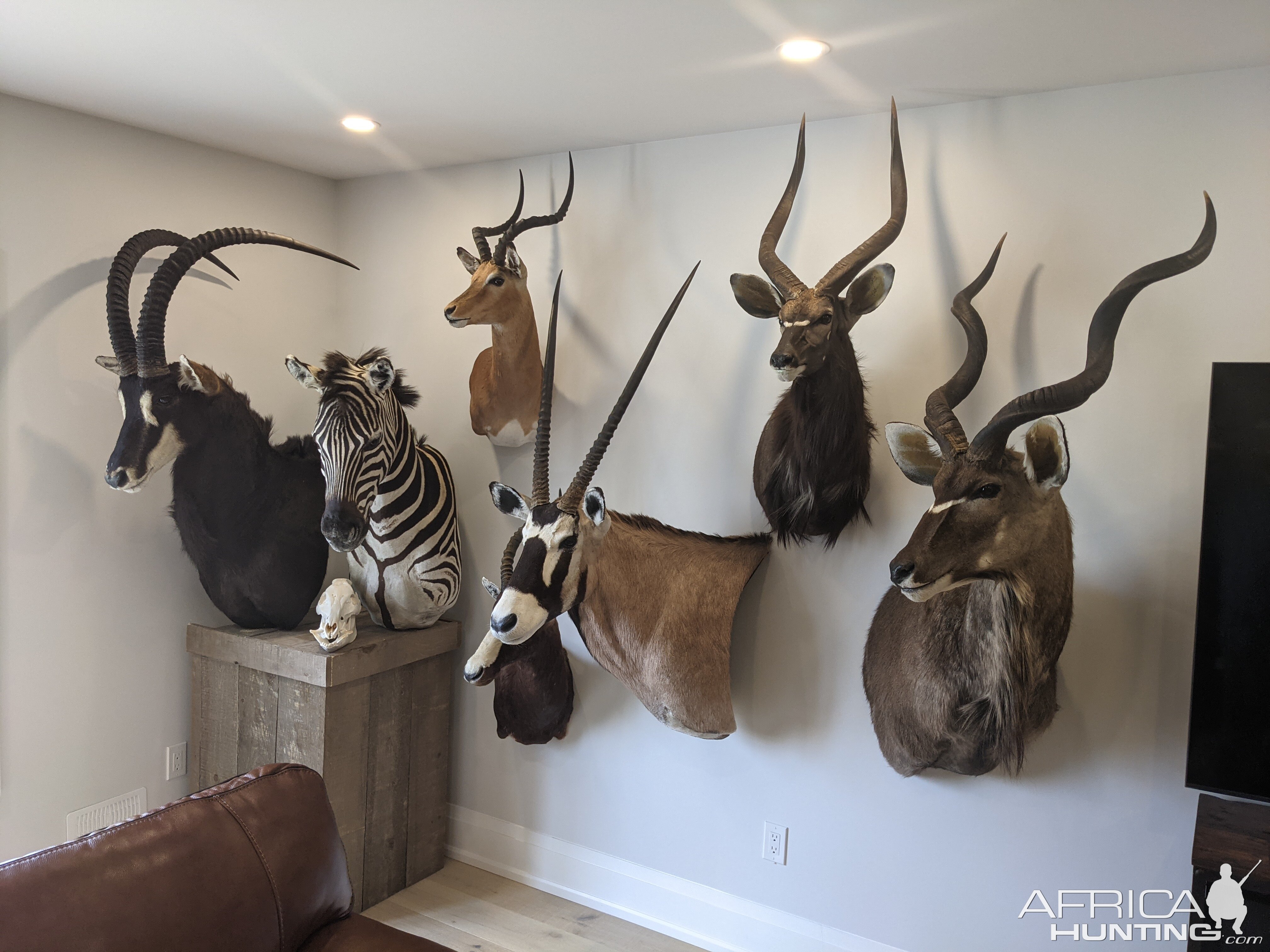 Trophy Room