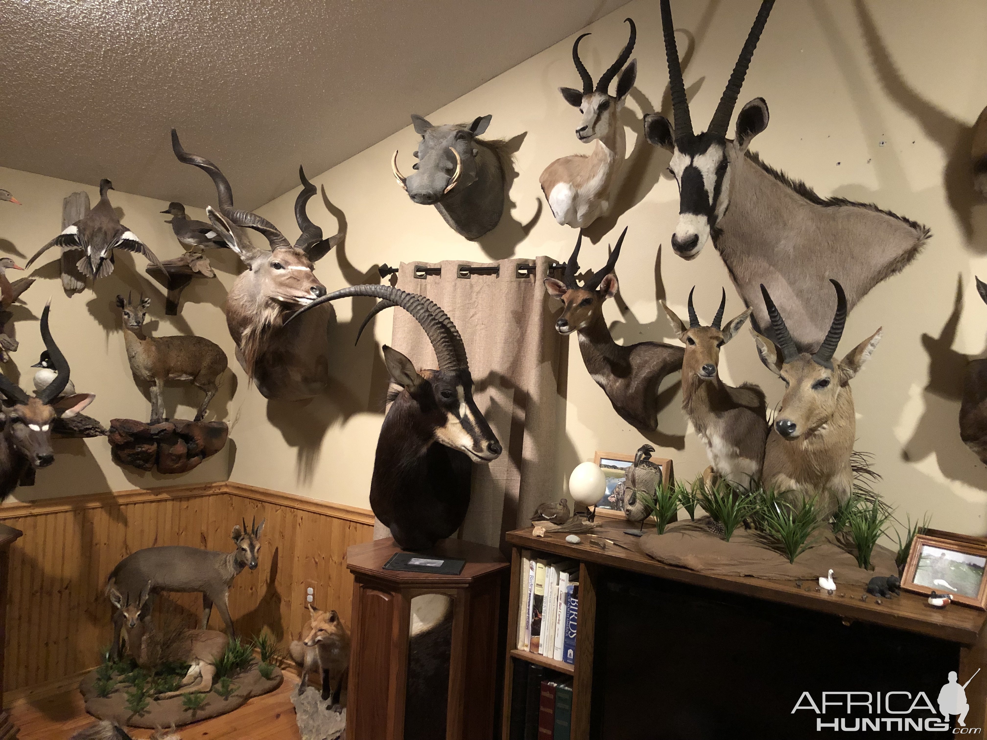 Trophy Room