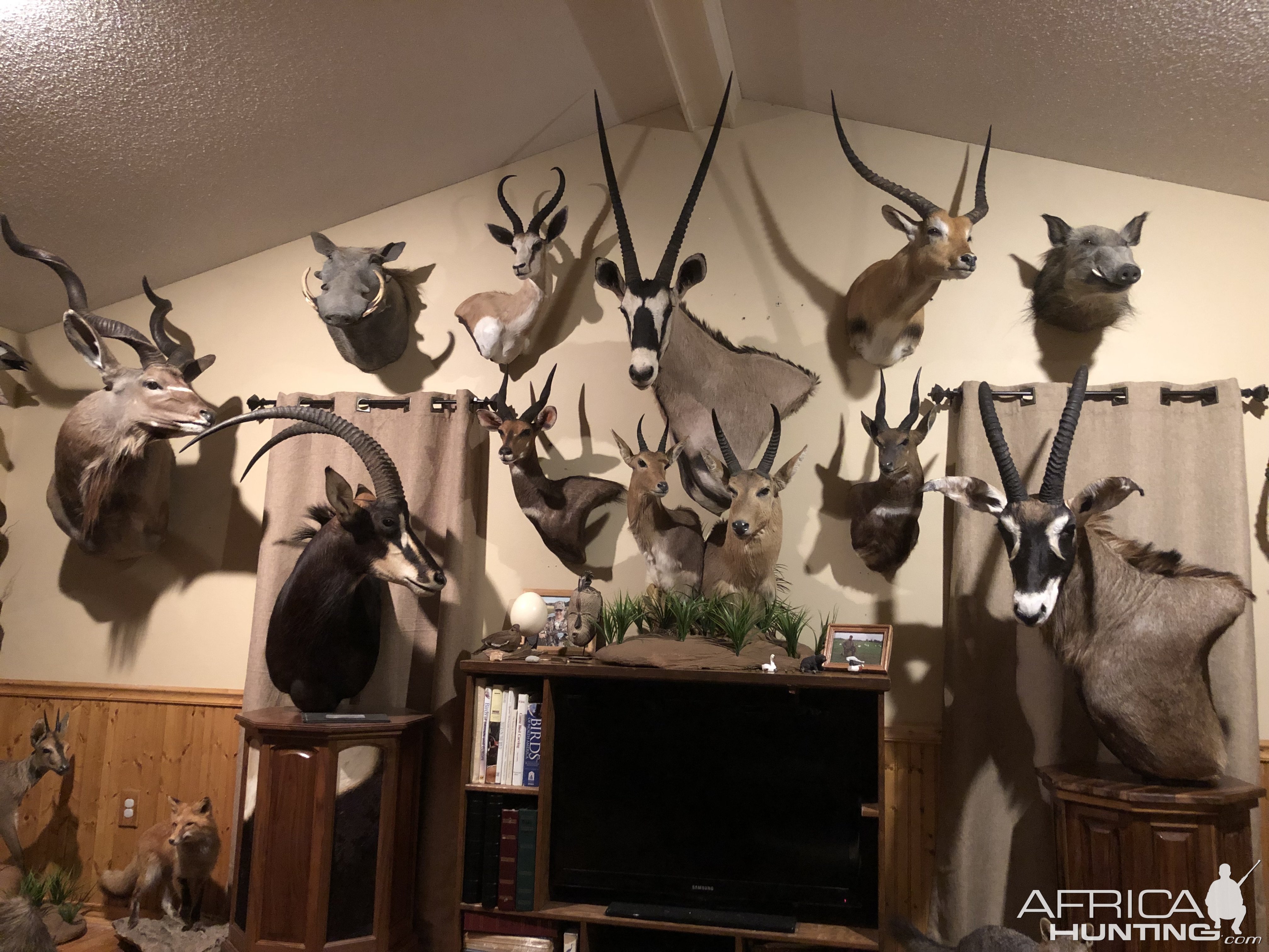 Trophy Room