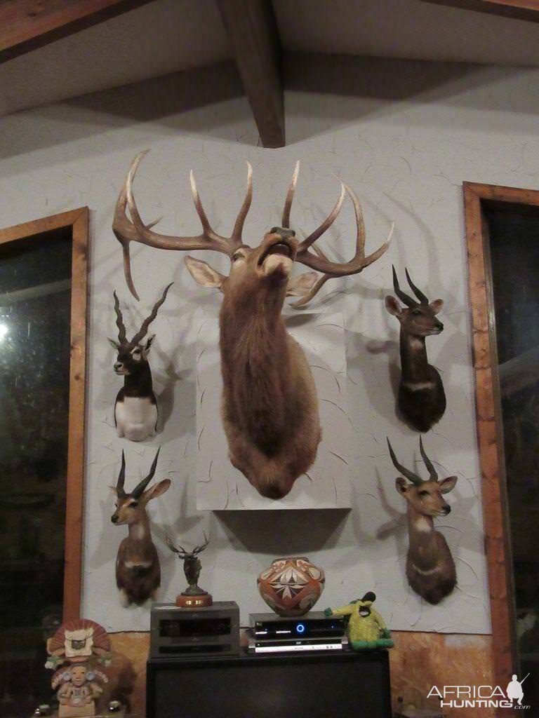 Trophy Room