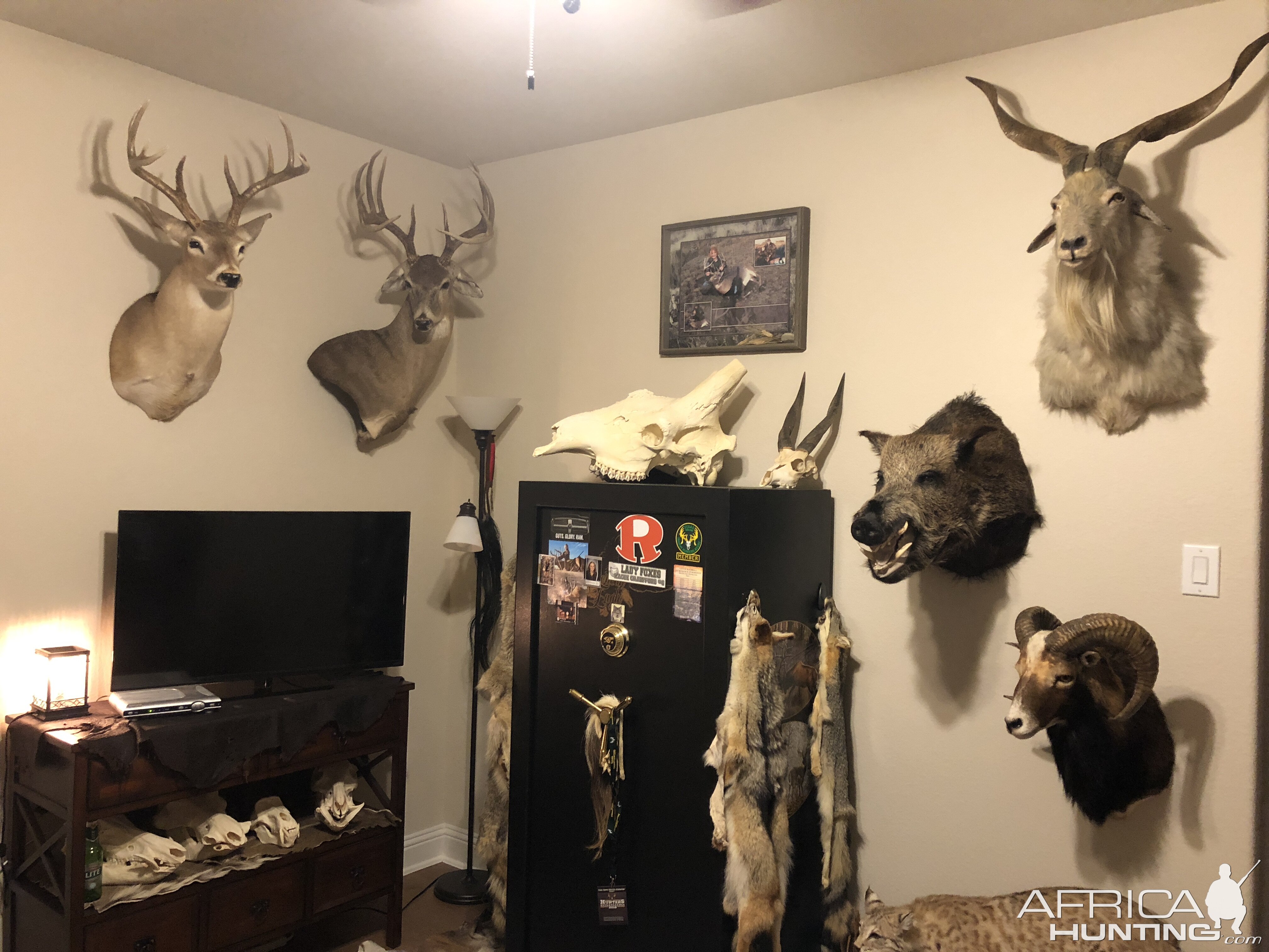 Trophy Room