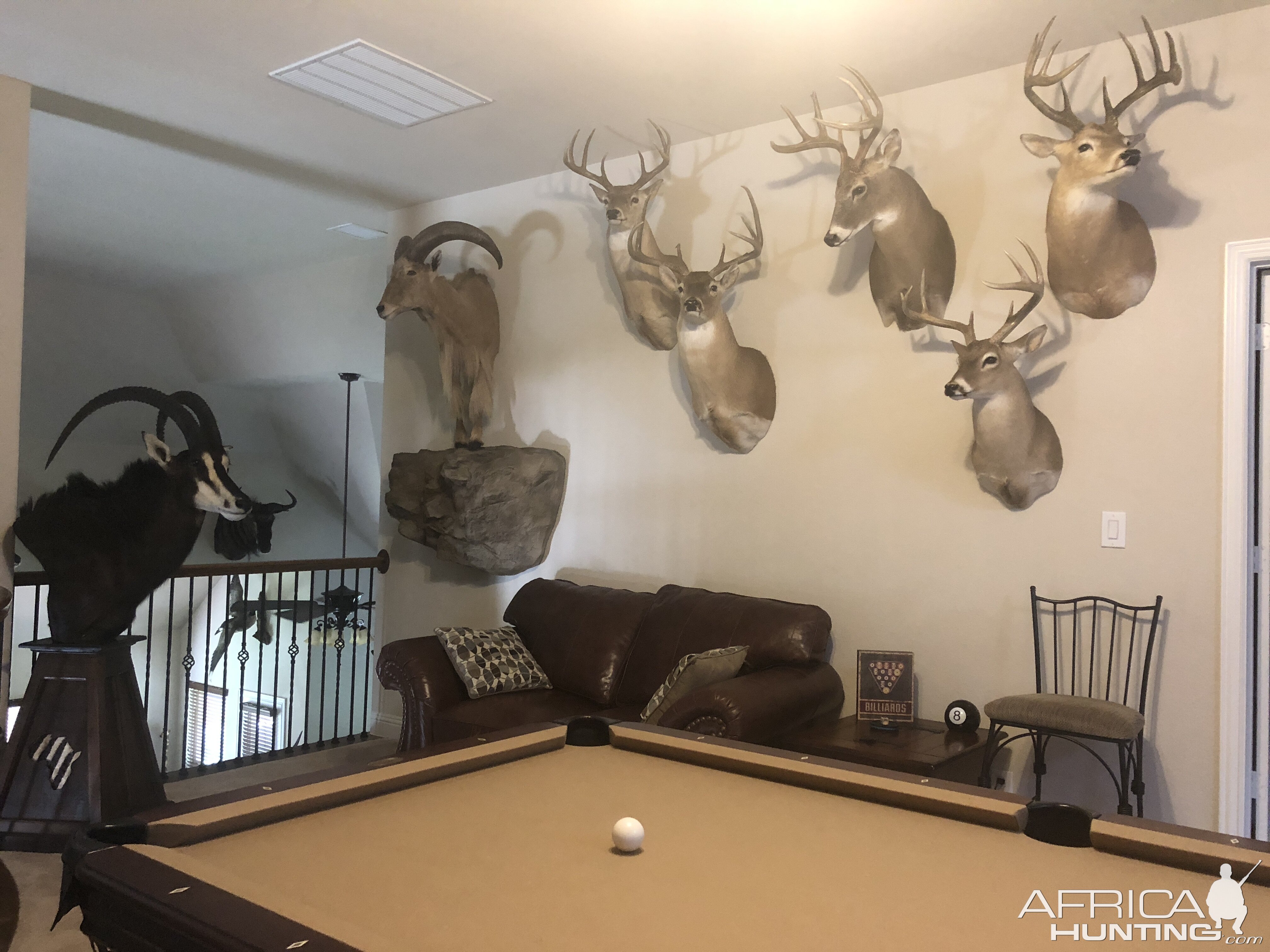 Trophy Room