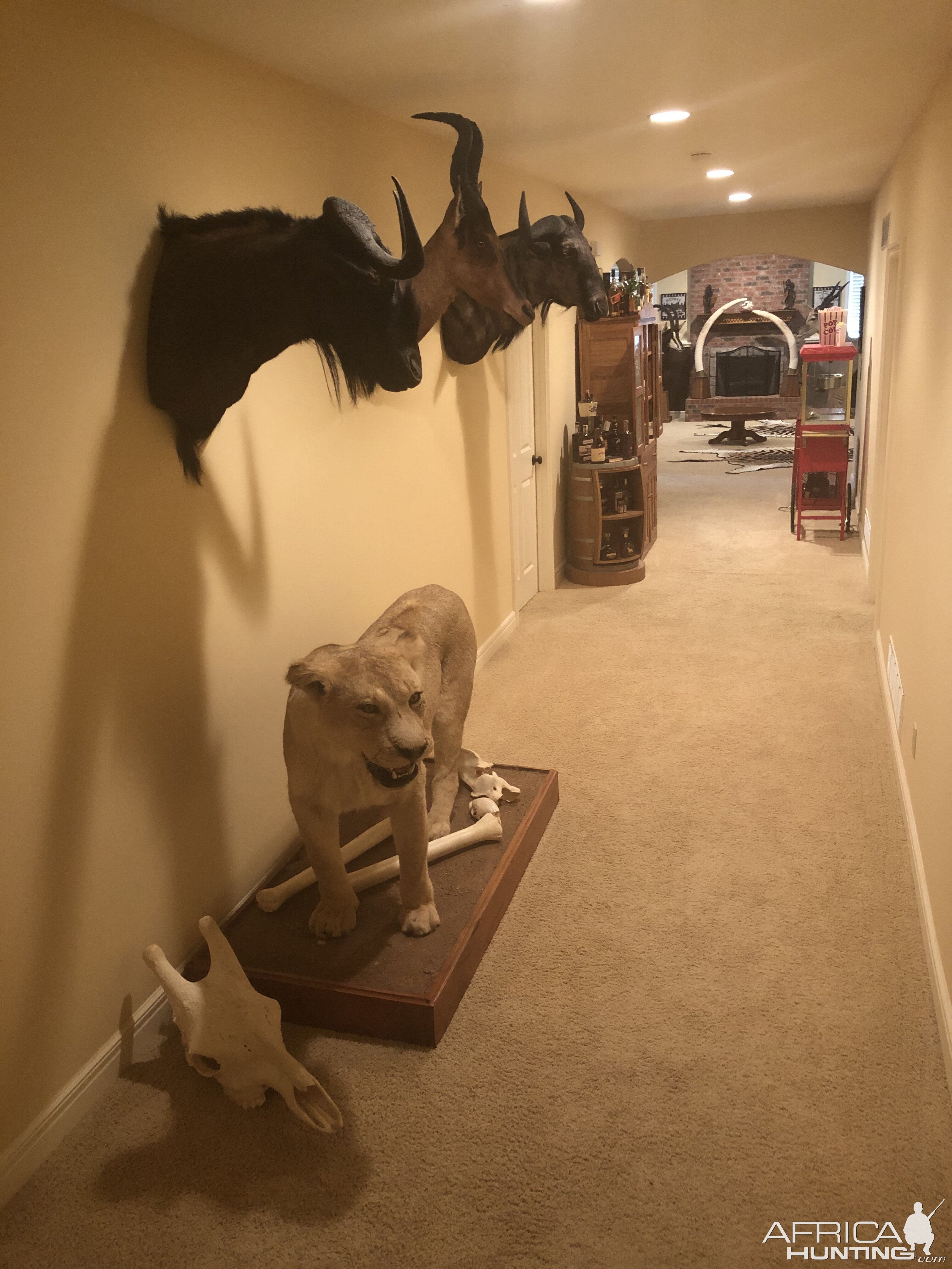 Trophy room