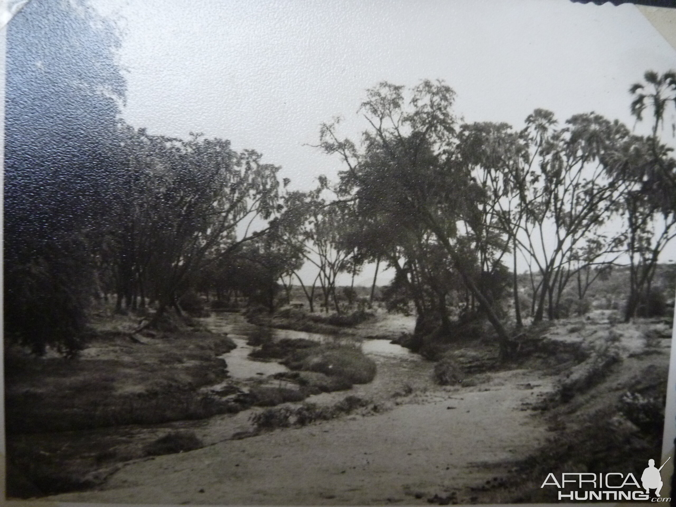 Tsavo Kenya