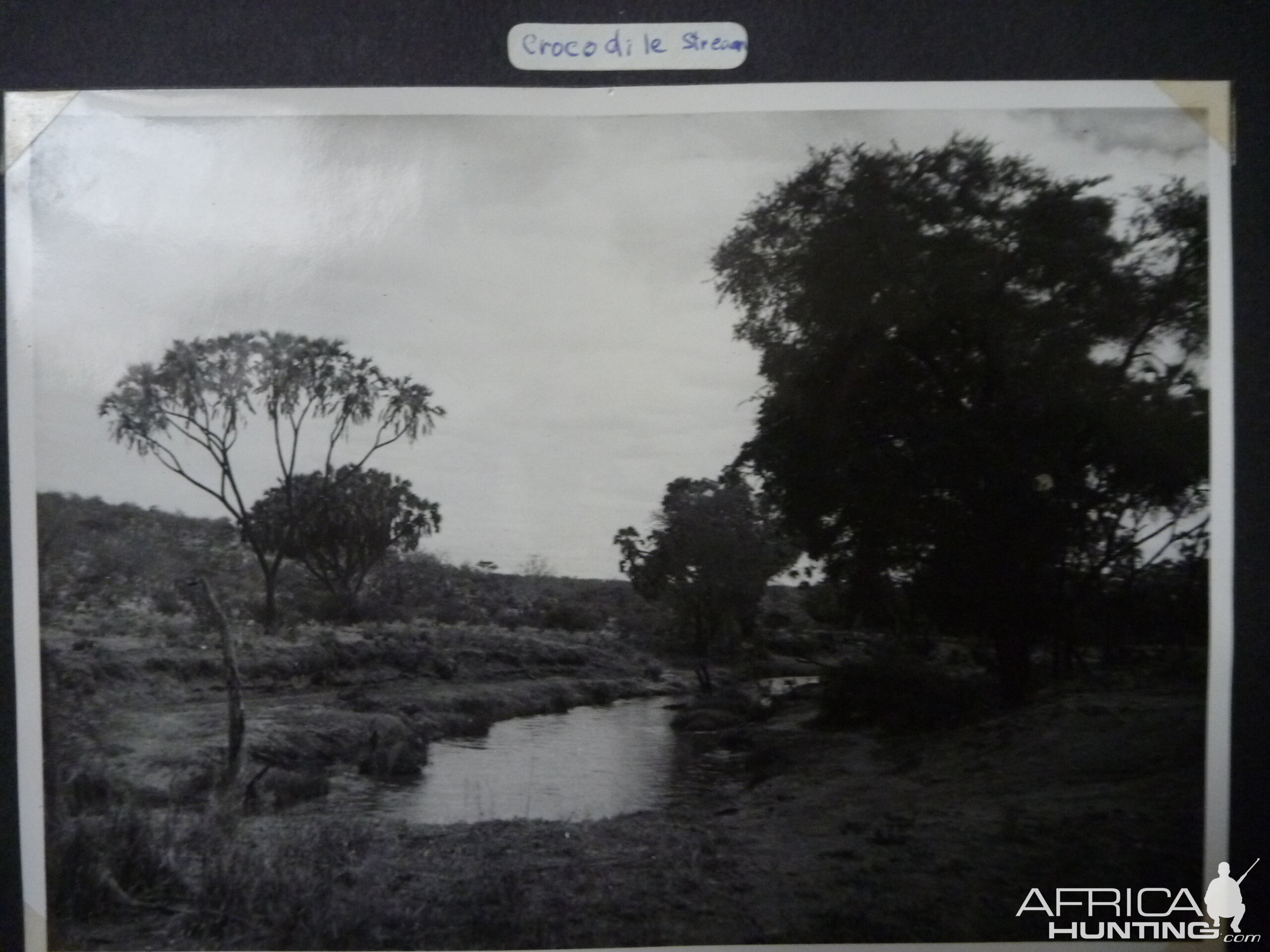 Tsavo Kenya