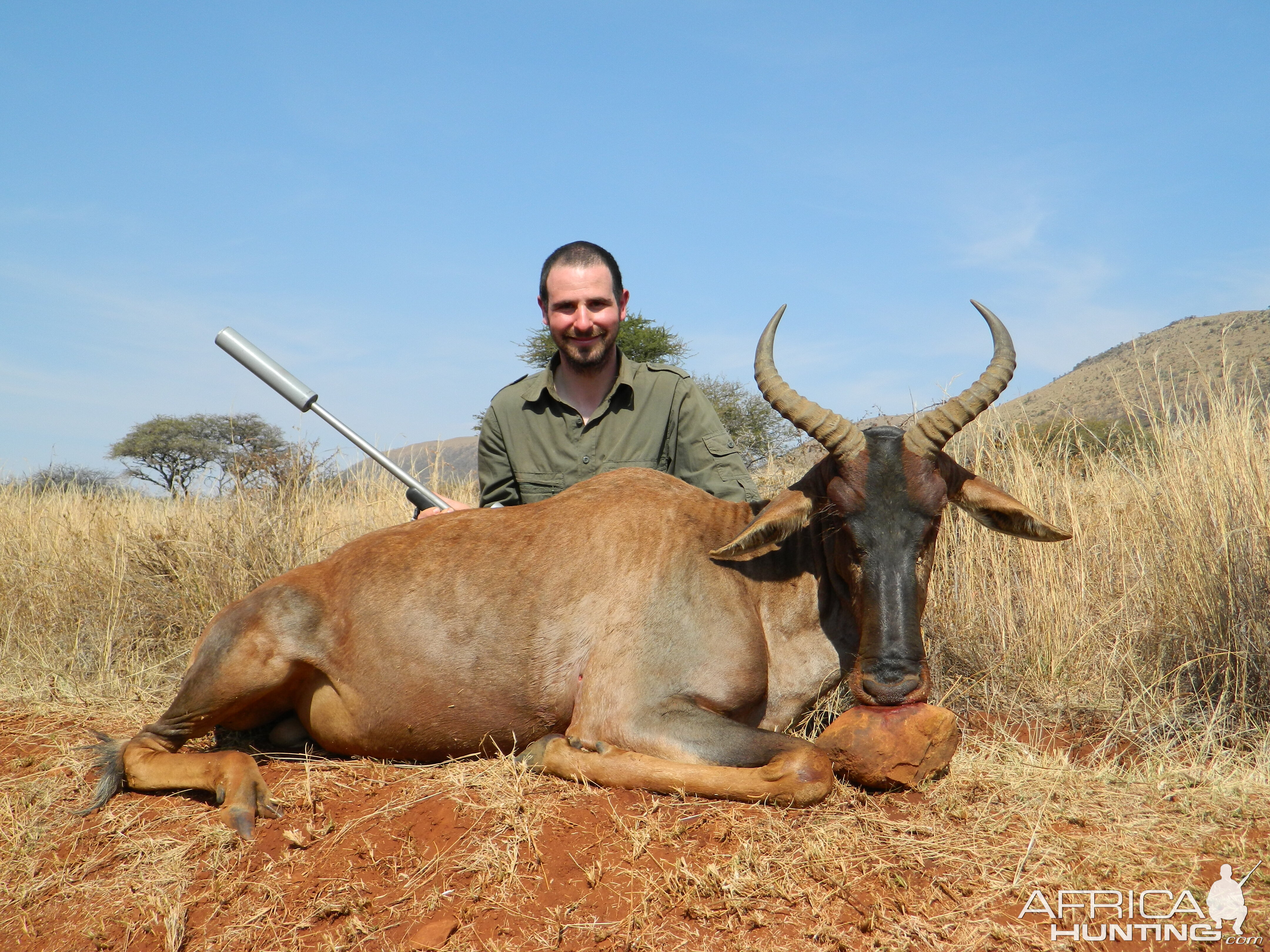 Tsessebe Hunt South Africa