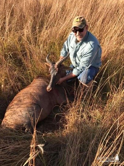 Tsessebe Hunting South Africa