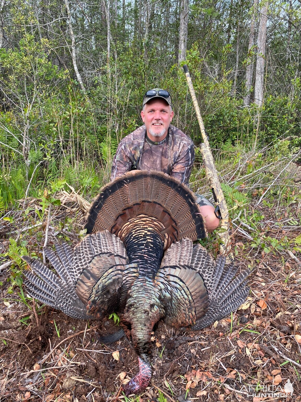 Turkey Hunt Florida USA