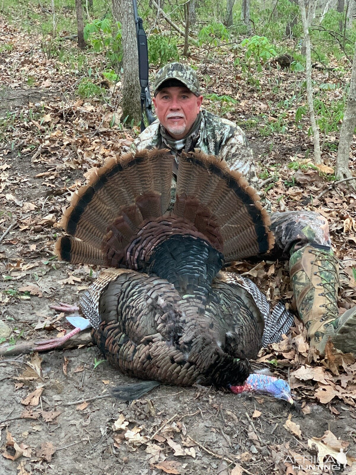 Turkey Hunt Iowa