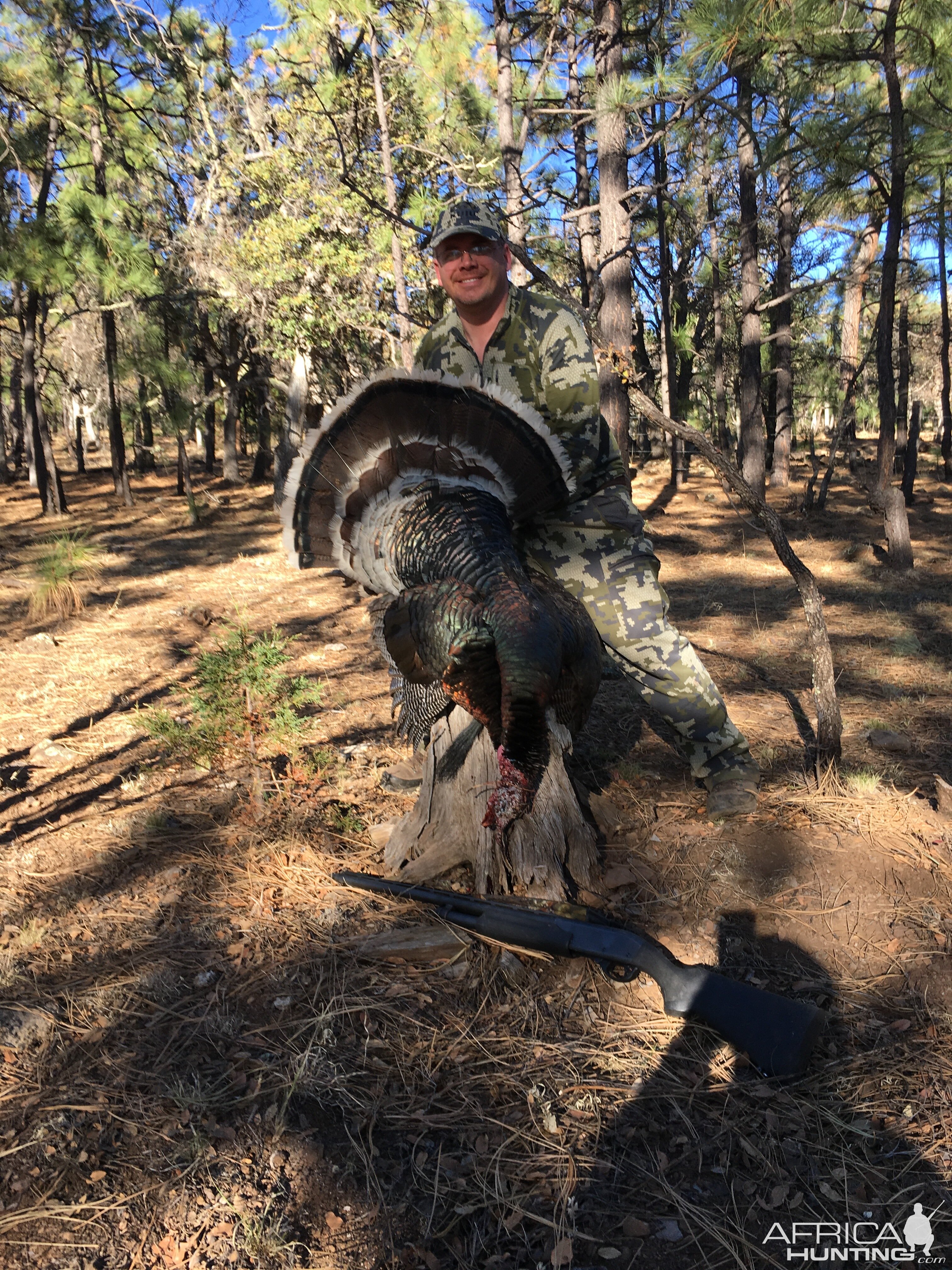 Turkey Hunt