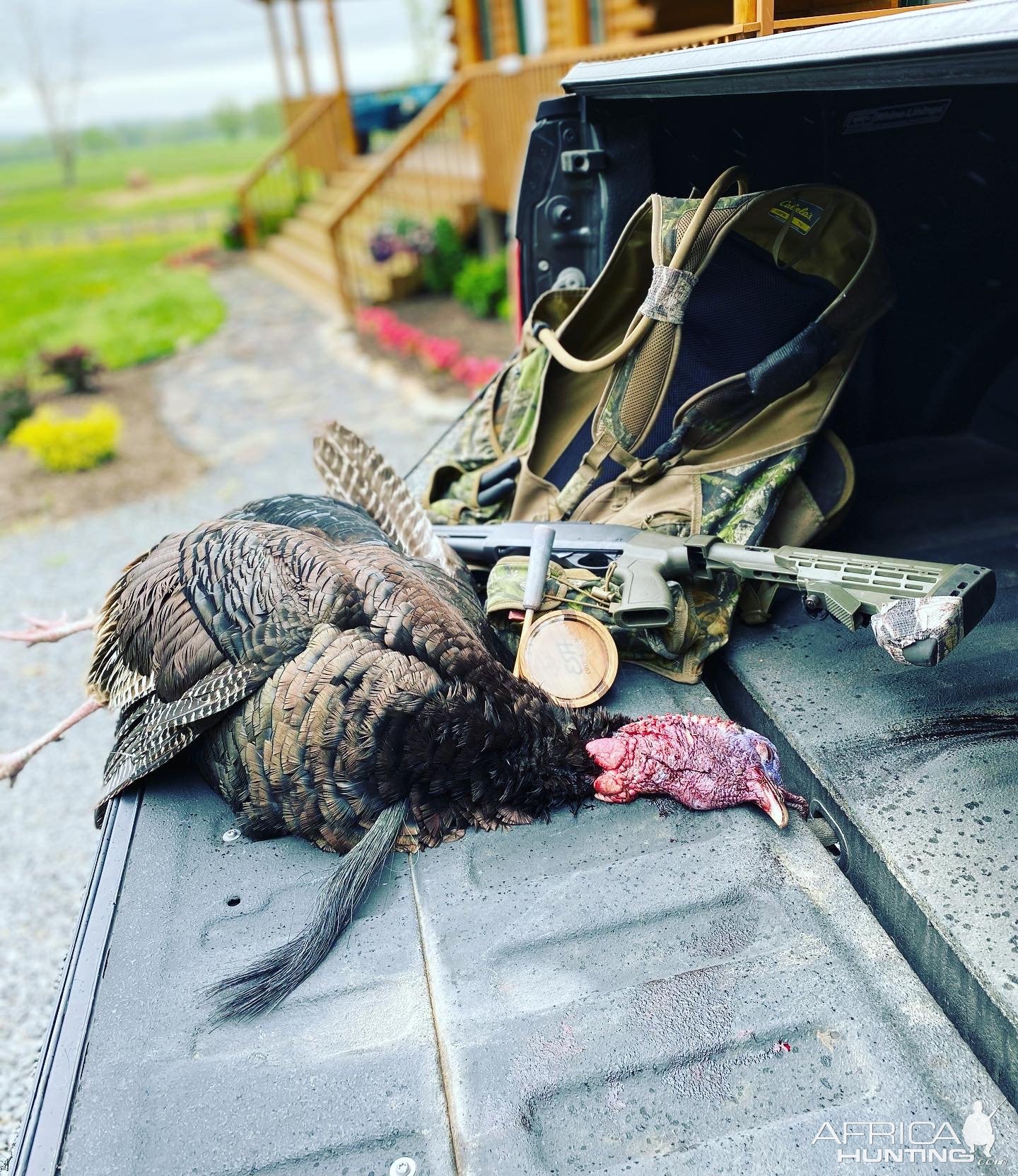 Turkey Hunting Northern Virginia