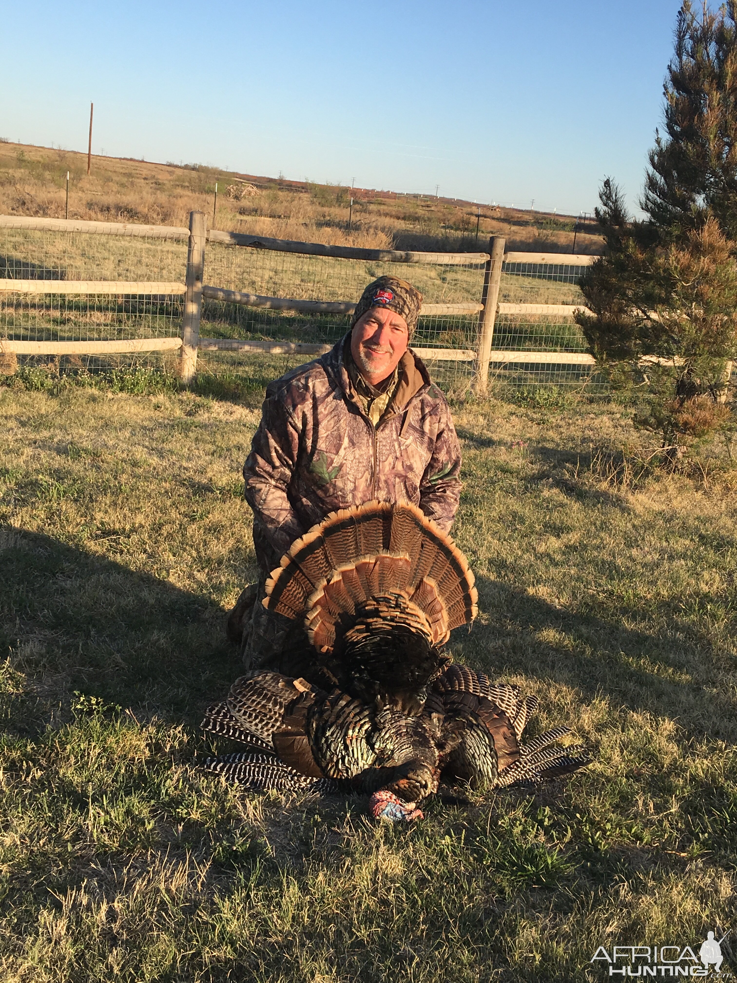 Turkey Hunting Texas USA