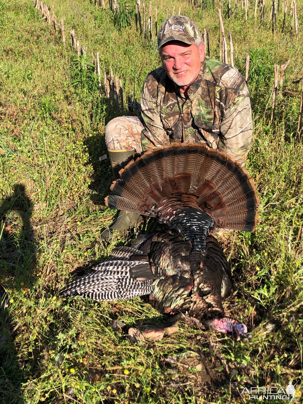 Turkey Hunting USA