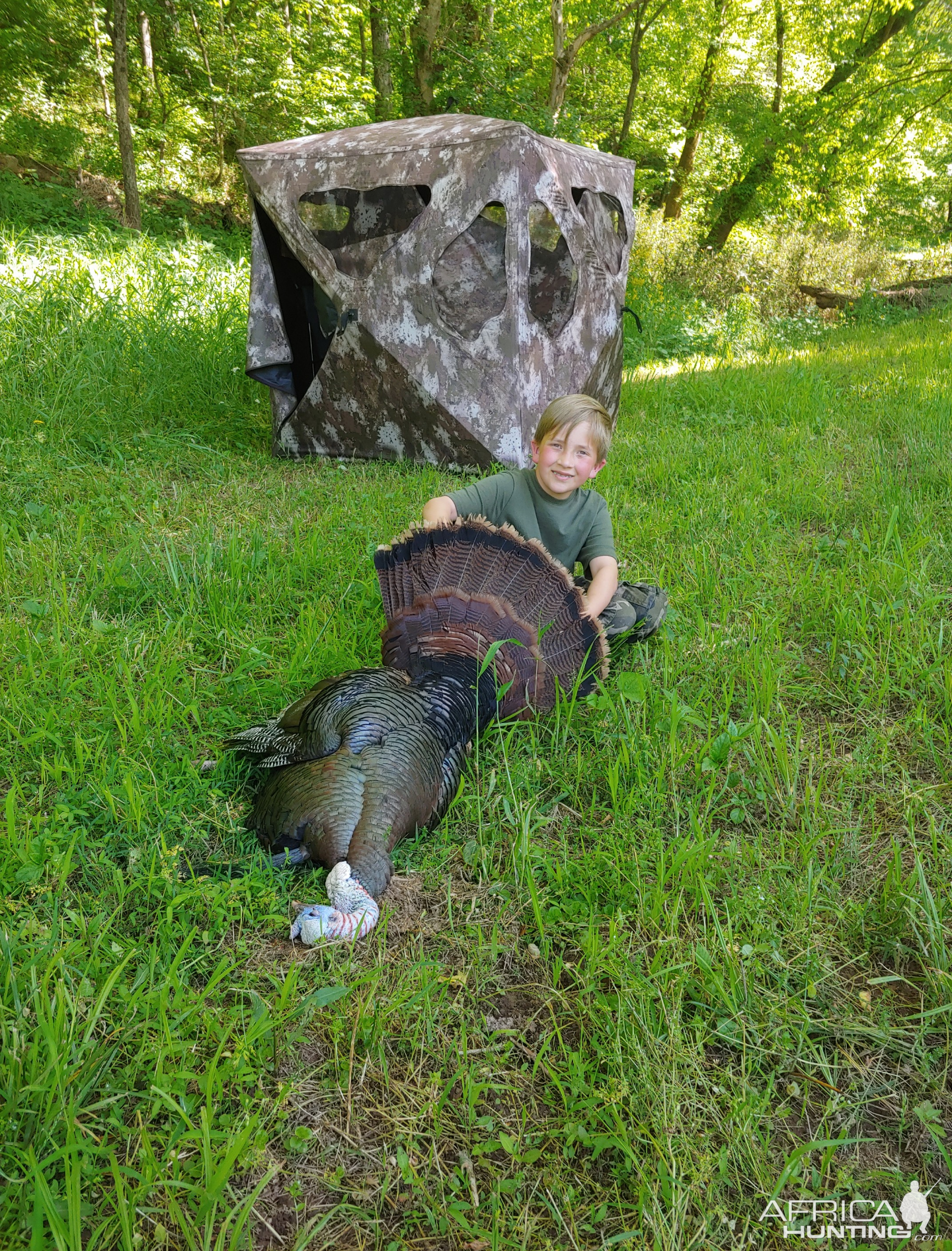 Turkey Hunting