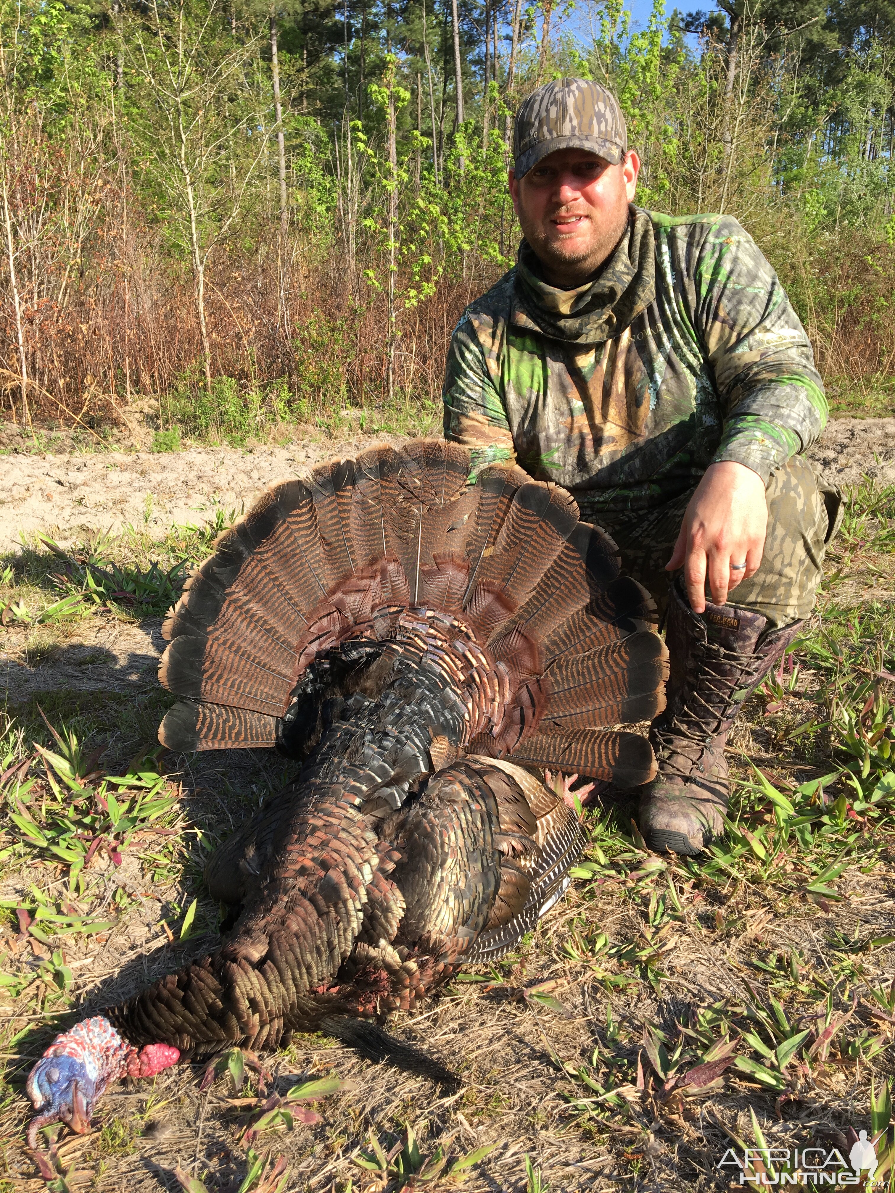 Turkey Hunting