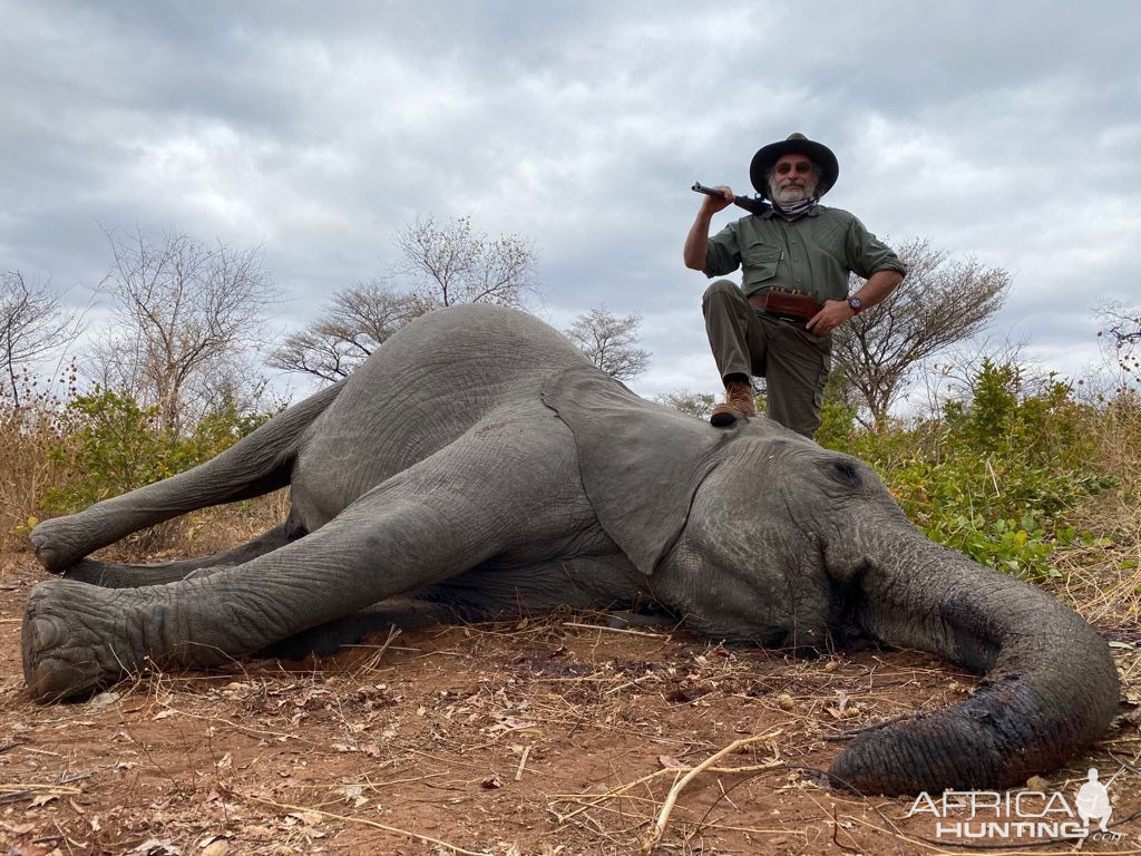 Tuskless Elephant Hunt Zimbabwe