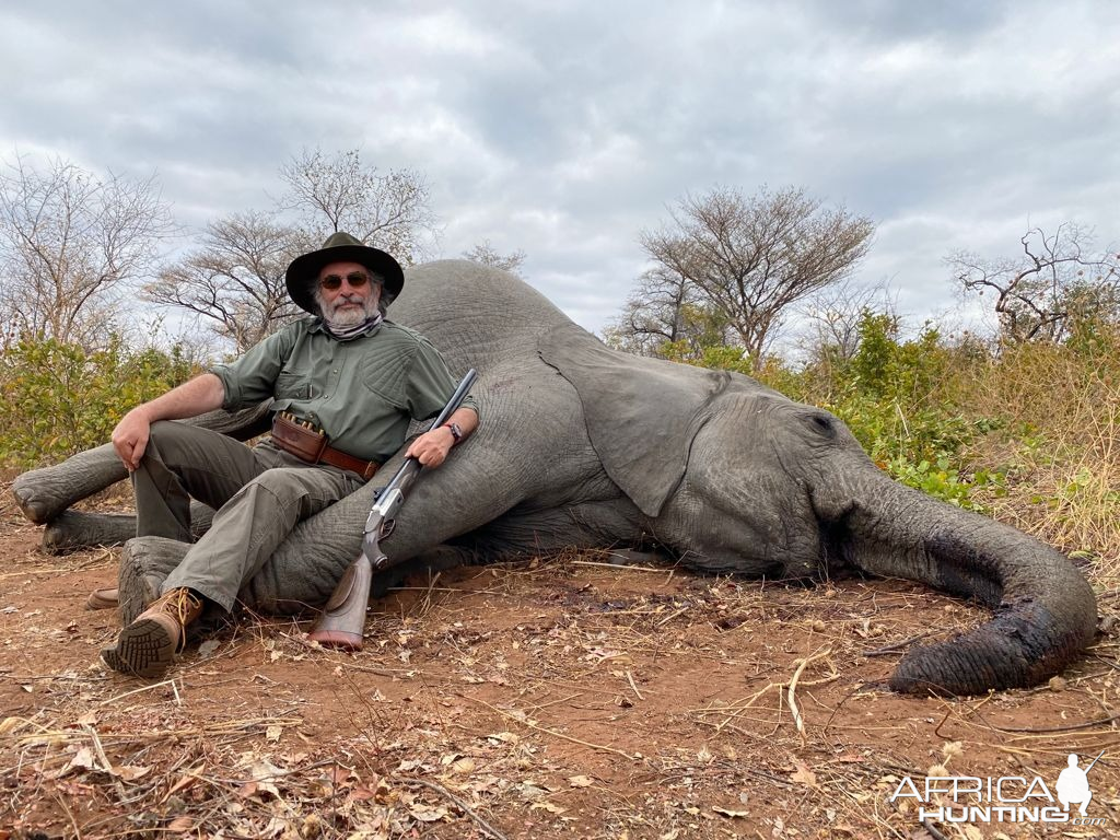 Tuskless Elephant Hunting Zimbabwe