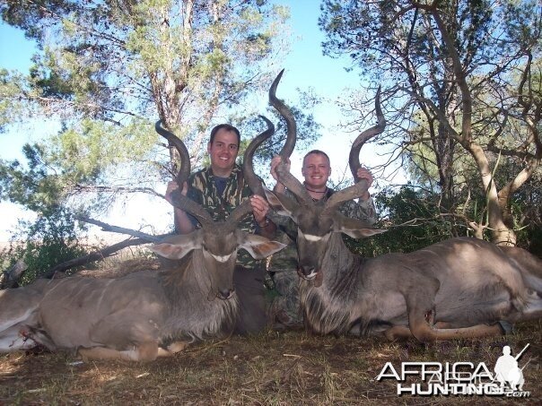 Two Eastern Cape Kudu 1 min apart