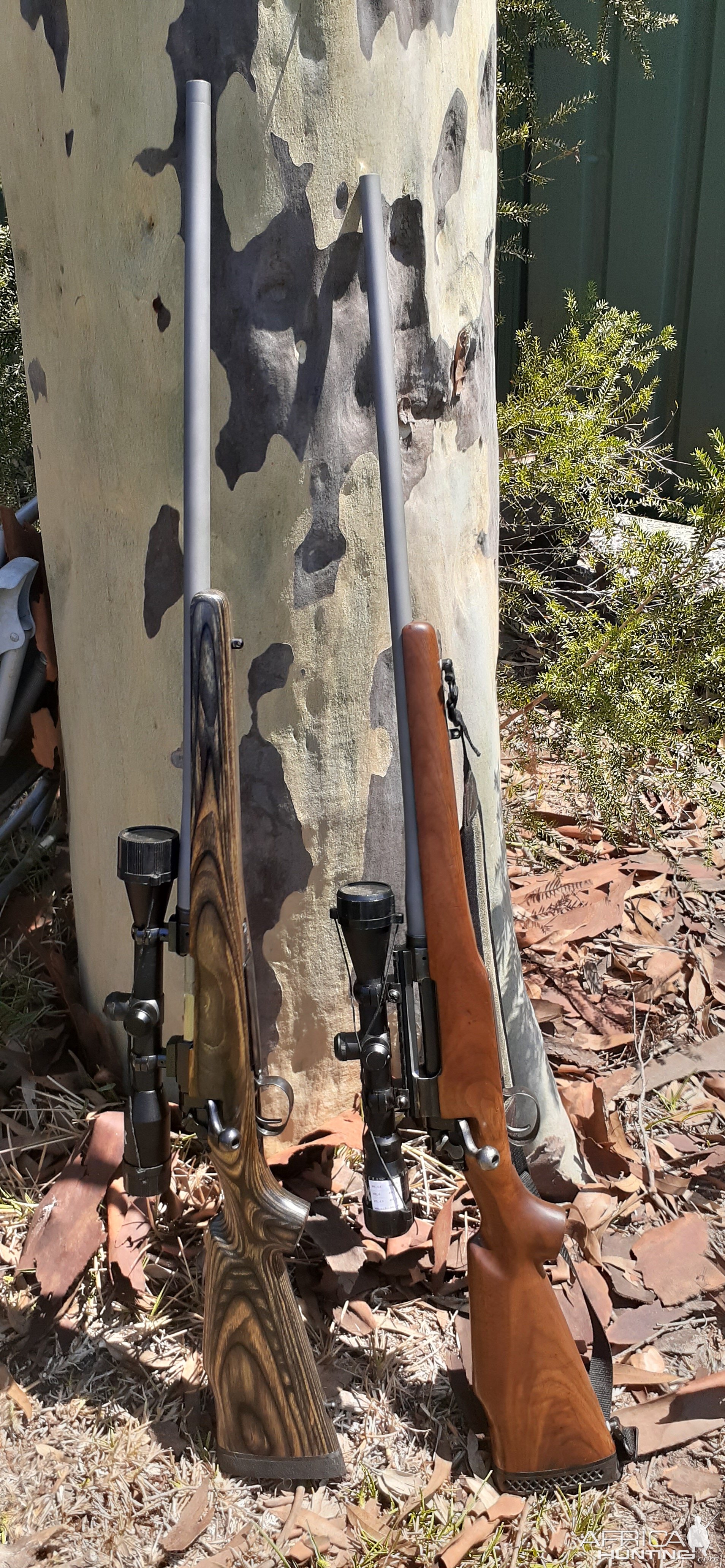 Two M17 Rifles