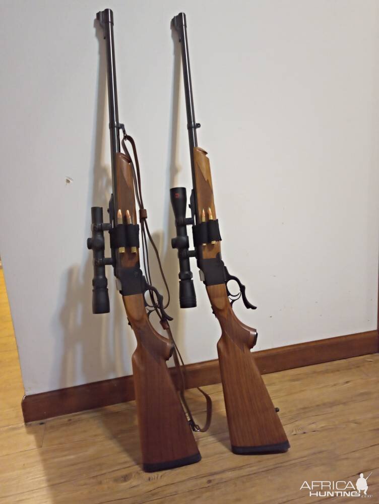 Two pairs of 375 Ruger with 300RCM