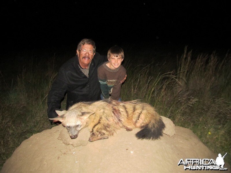 Umdende Hunting Safaris Aardwolf