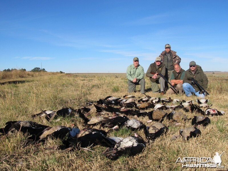 Umdende Hunting Safaris Bird Hunting