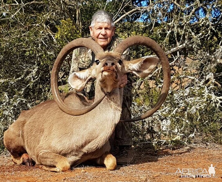 Unusual Kudu Trophy