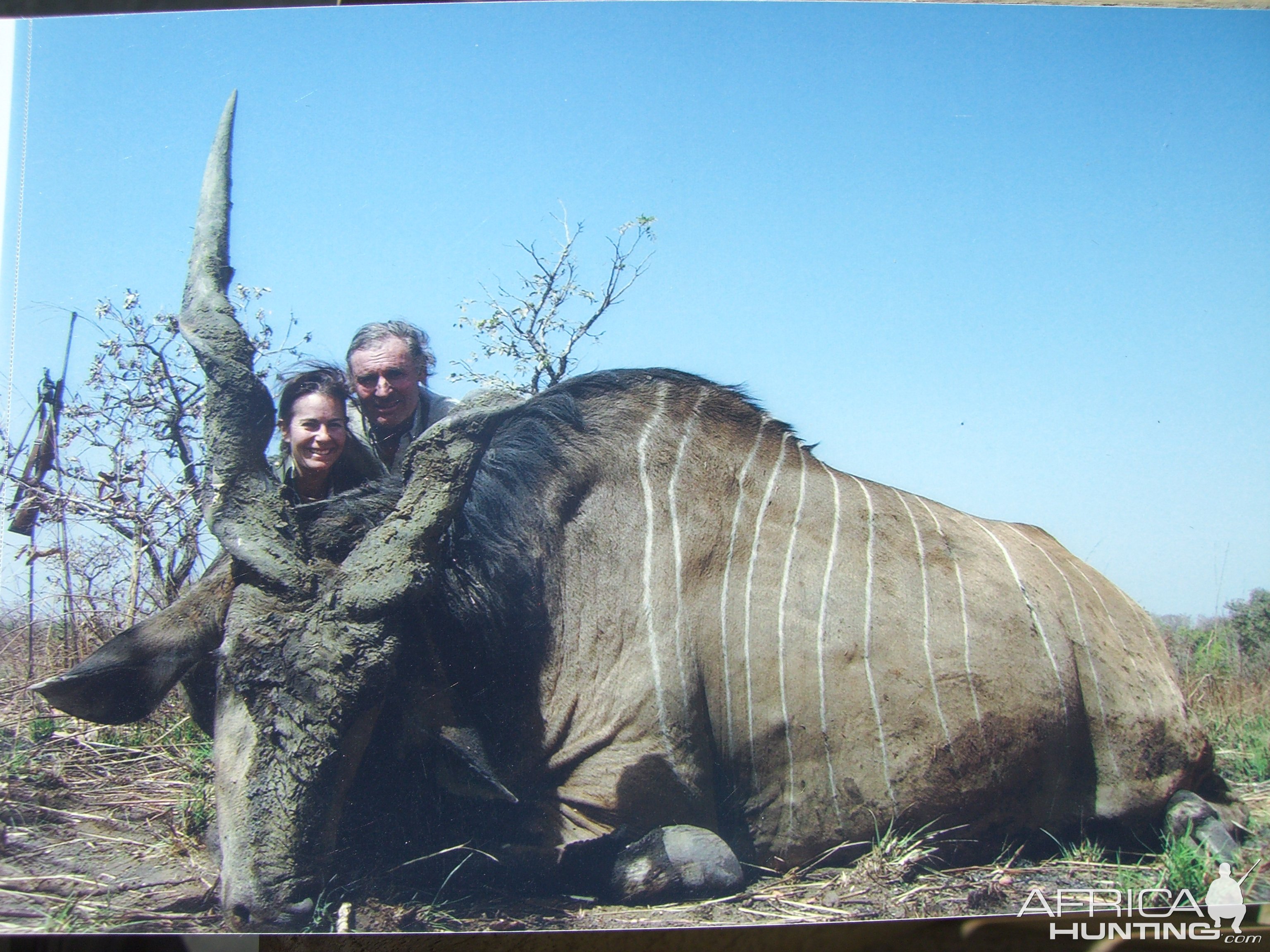 Unusual Lord Derby Eland Hunt Cameroon