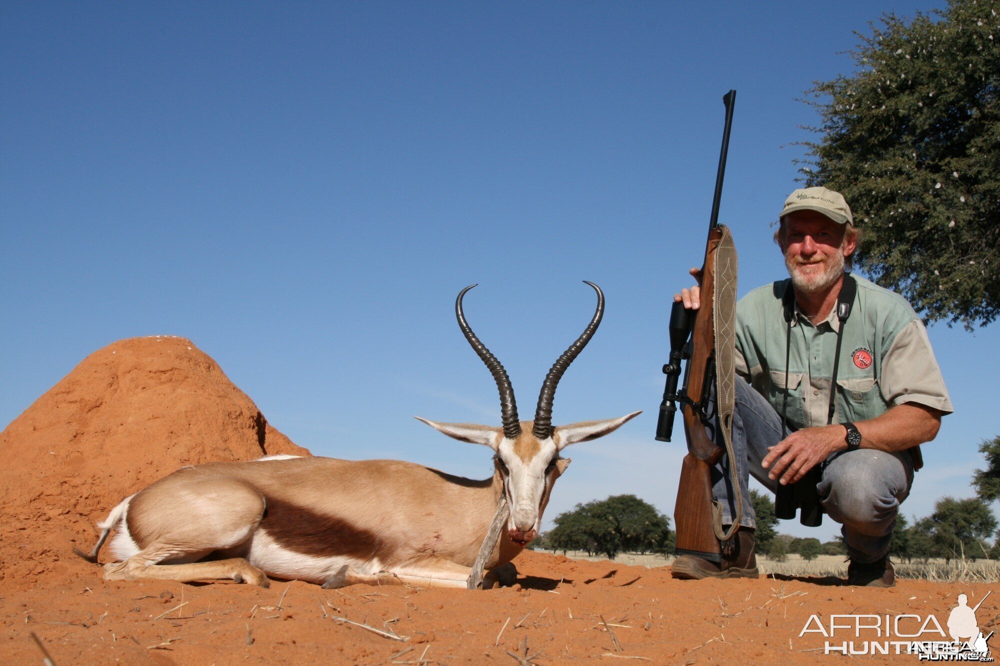 UNUSUAL SPRINGBOK