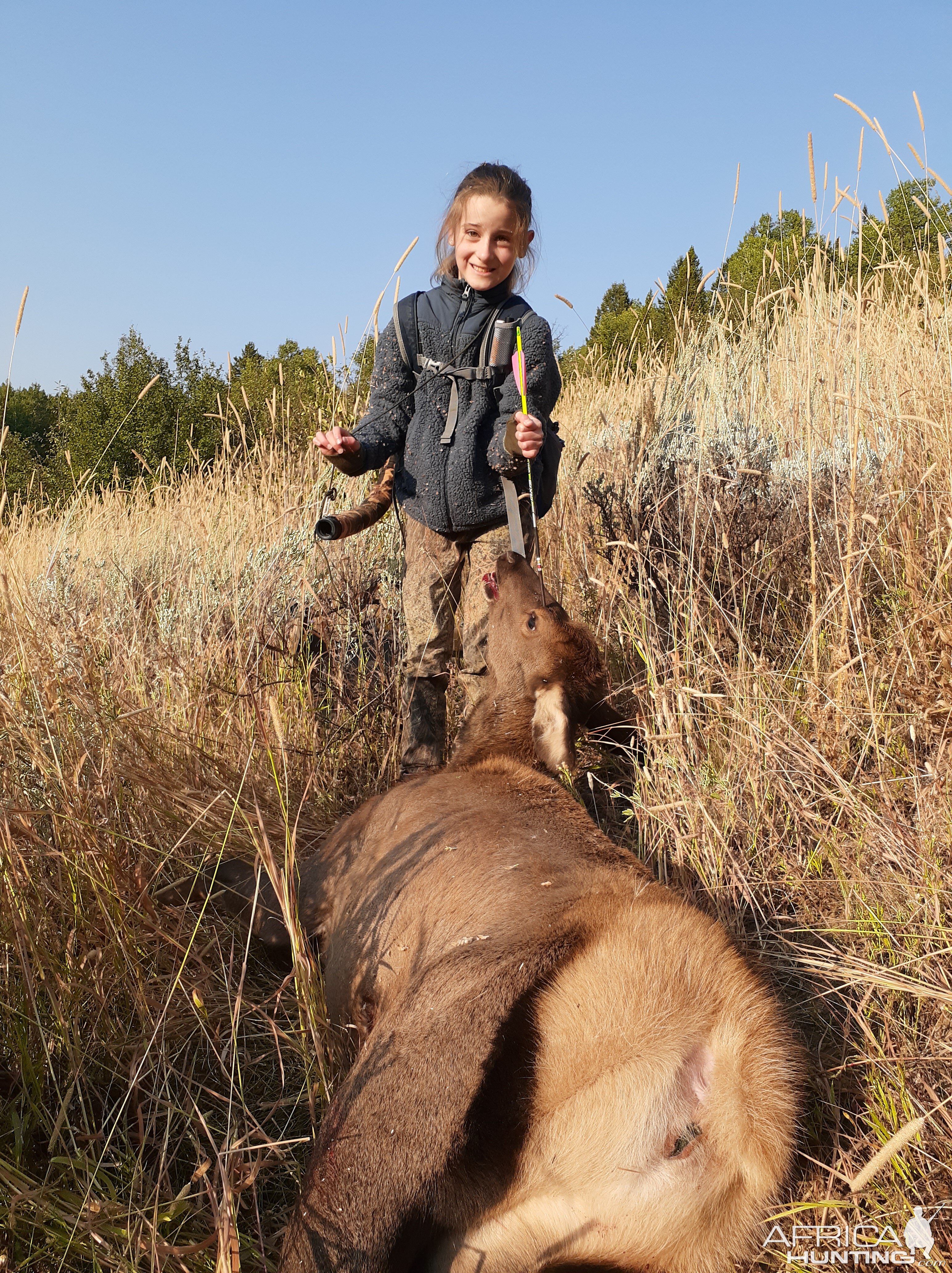 USA Bow Hunting Elk