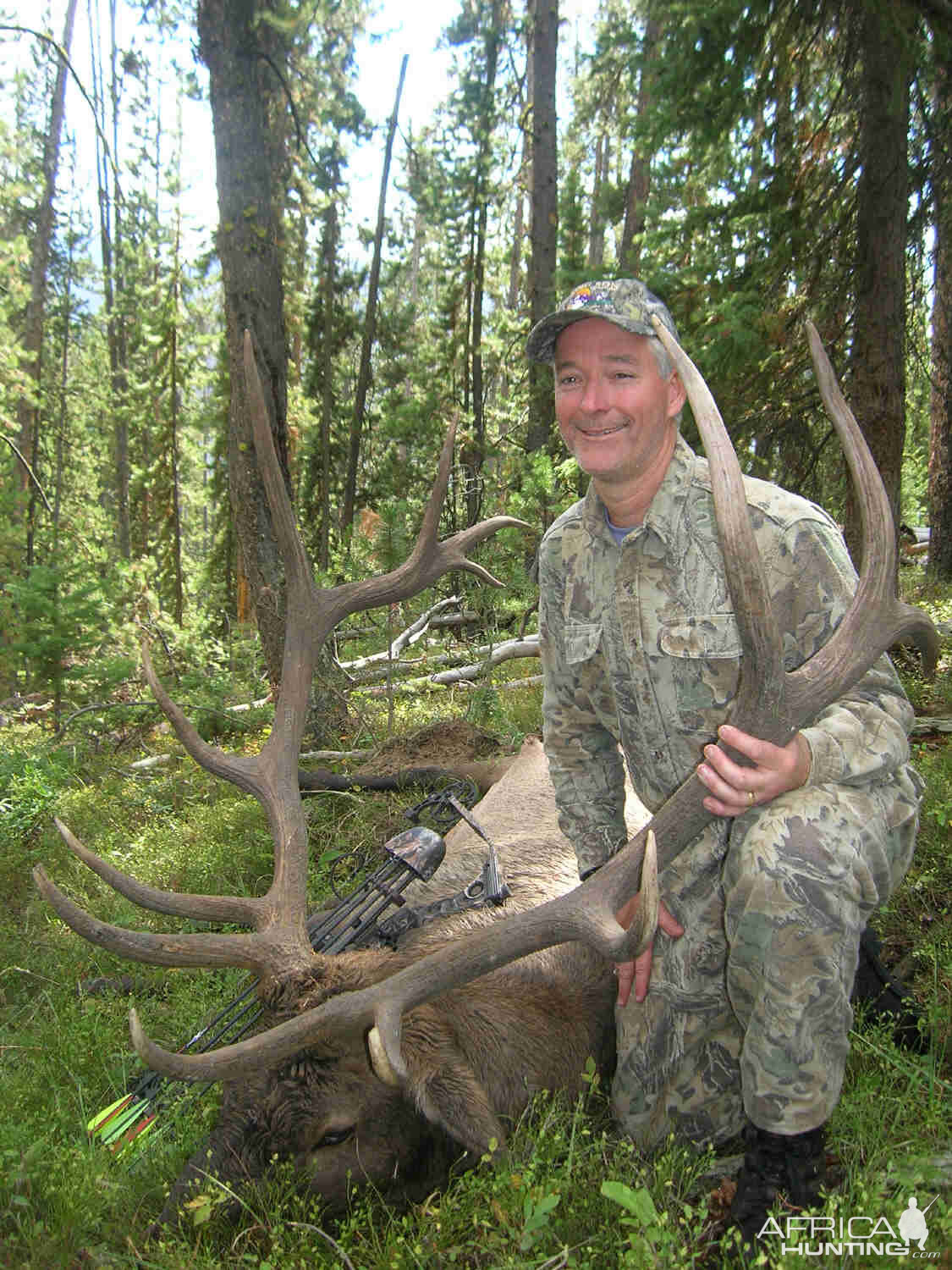 USA Bow Hunting Elk