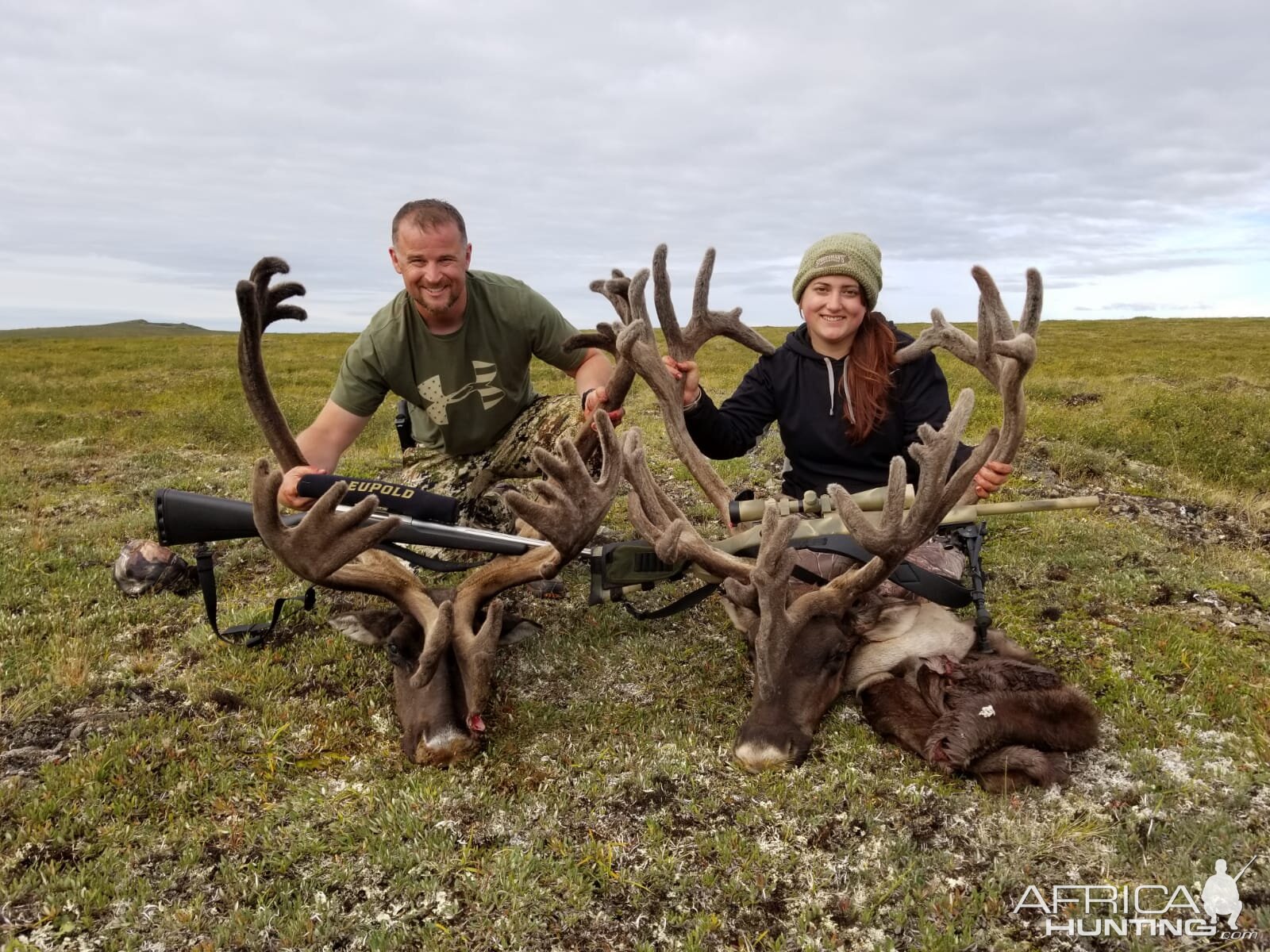 USA Hunt Caribou