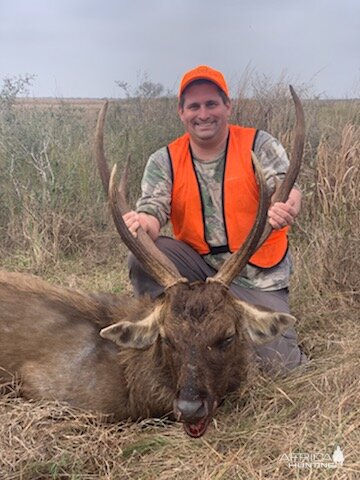 USA Hunting Sambar Deer